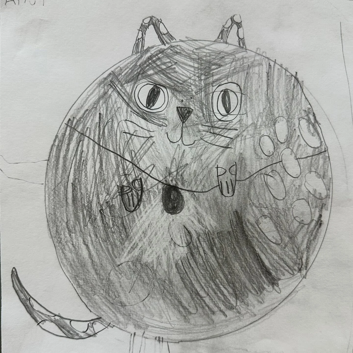 Kindergarten and first grade cats-studying value and texture. #matheiaschool #arteveryday #cats #kidsart #value #texture #artisimportant