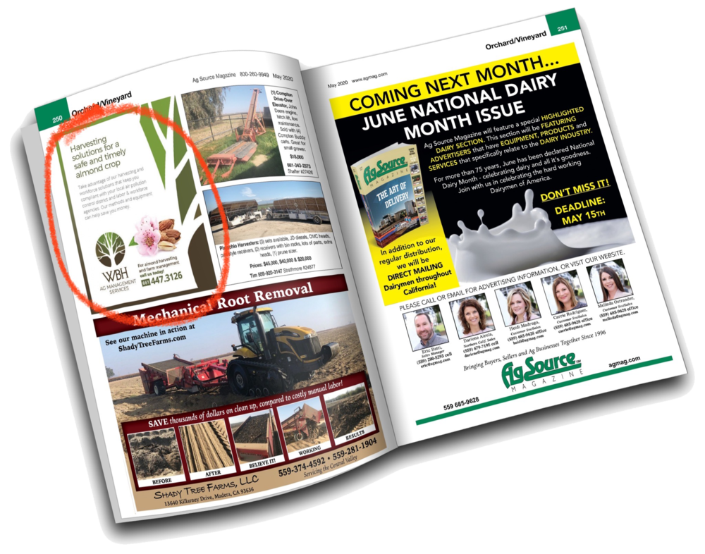 Magazine Advertisements Examples magazine-advertisements-examples