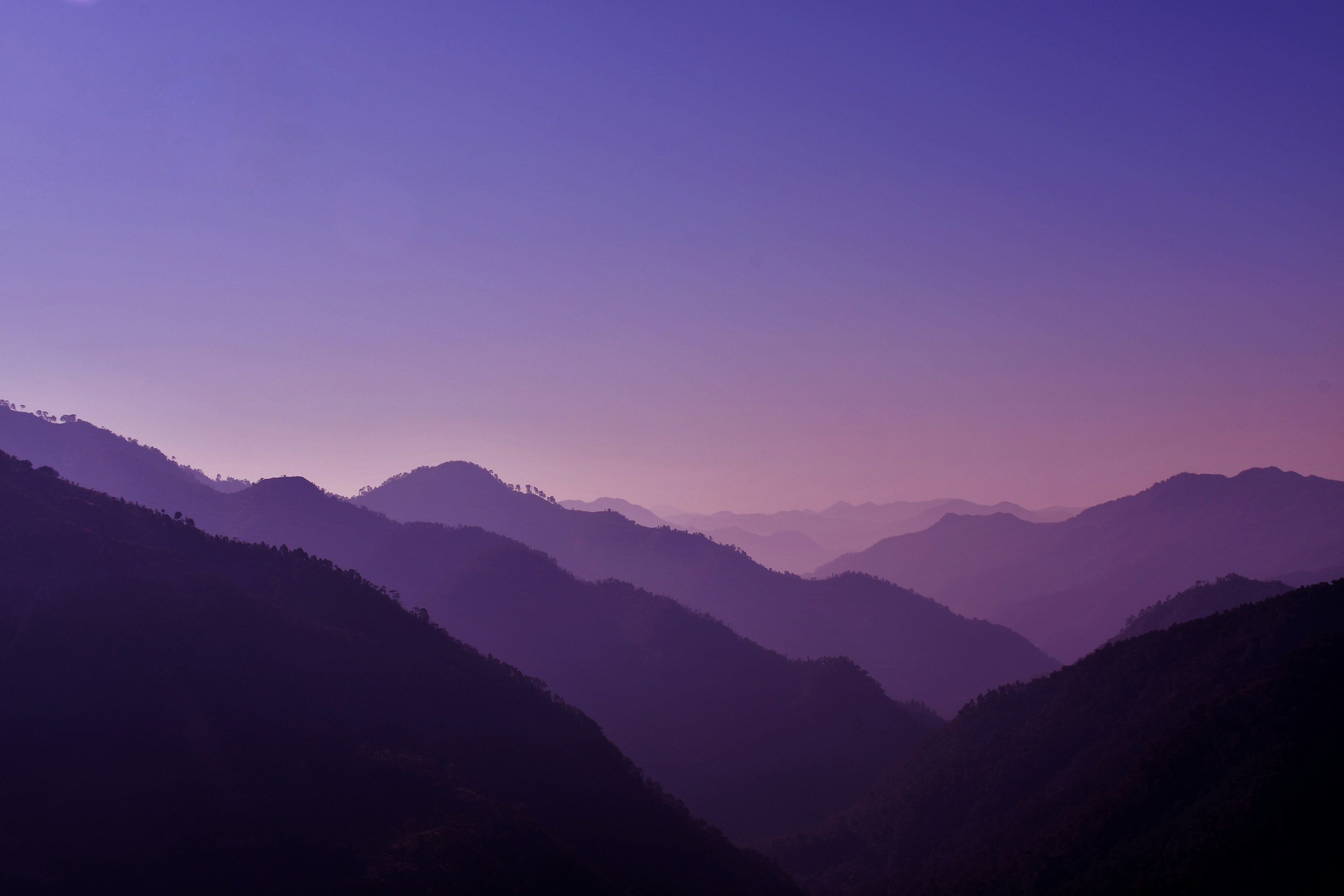 unsplash-image-KammgIwEHVs.jpg