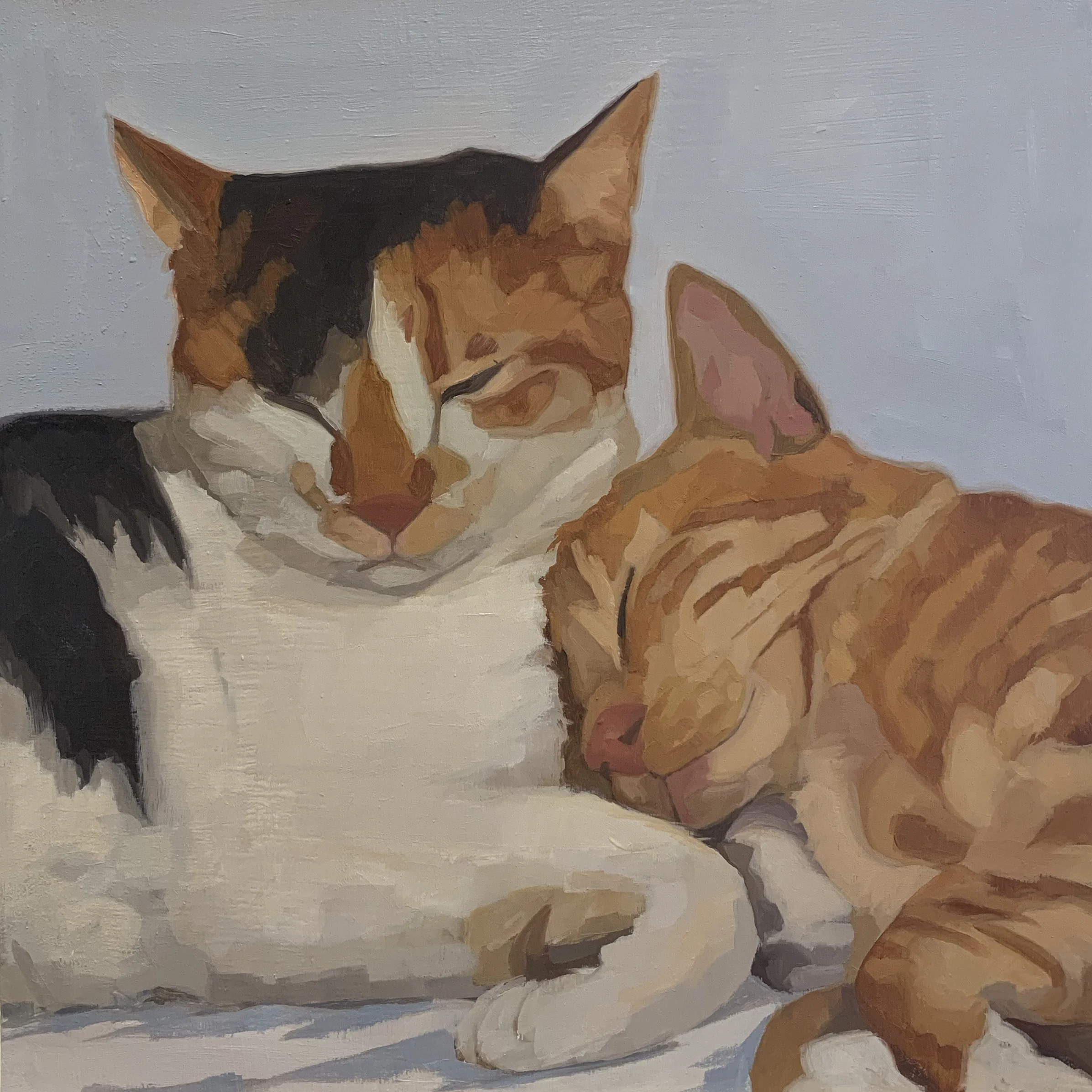 POLLY'S CATS