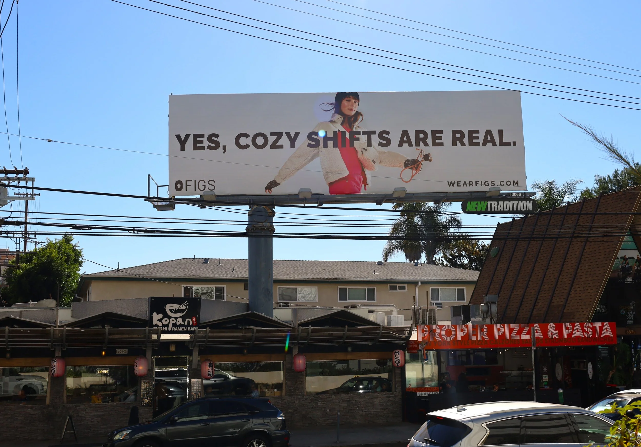 FIGS pop Nov 2024 (2).JPG