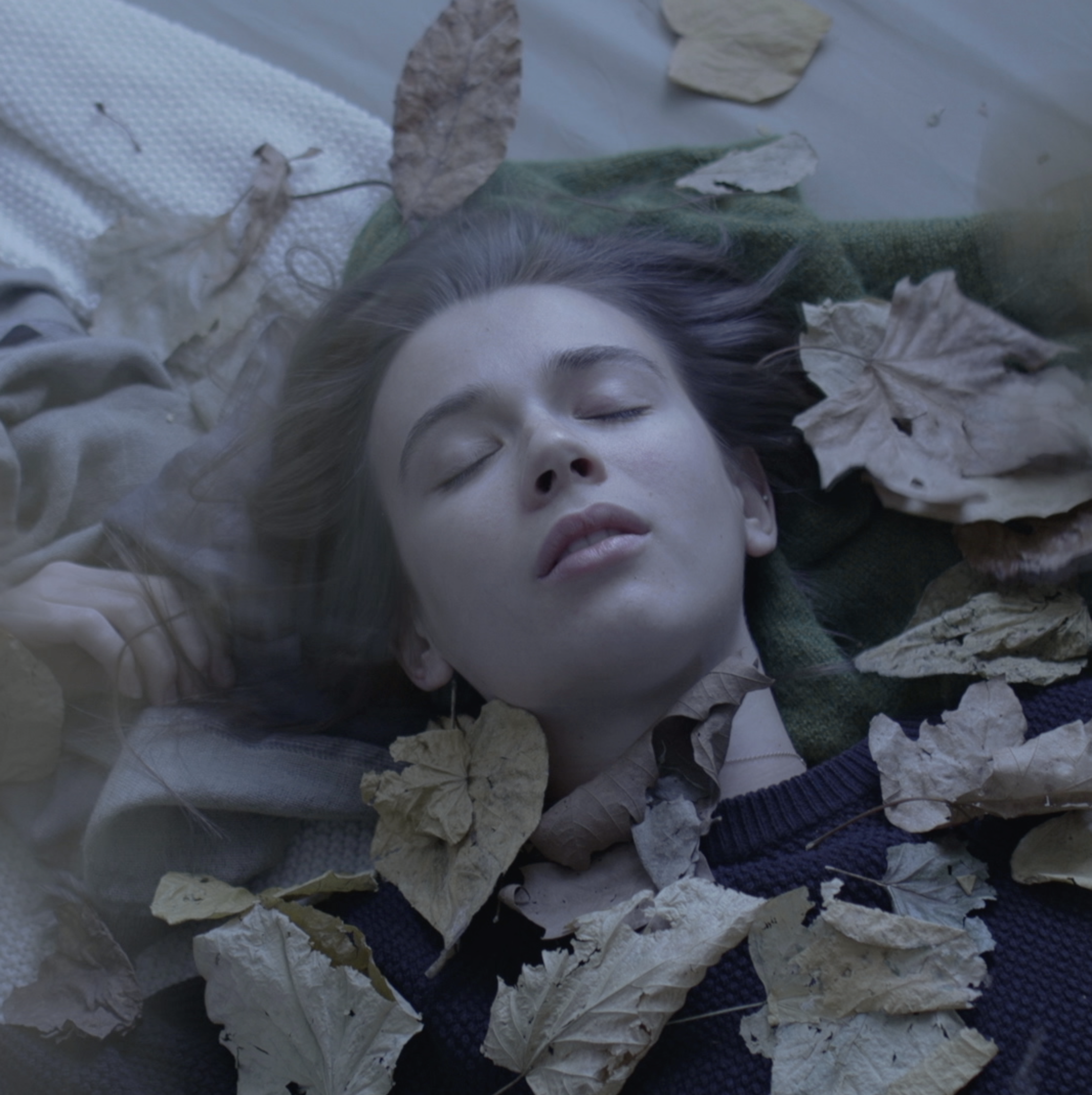 leaves2.png