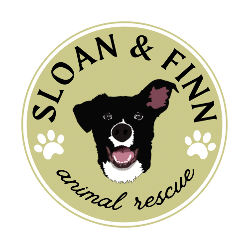 Sloan & Finn ANIMAL RESCUE - 6.png