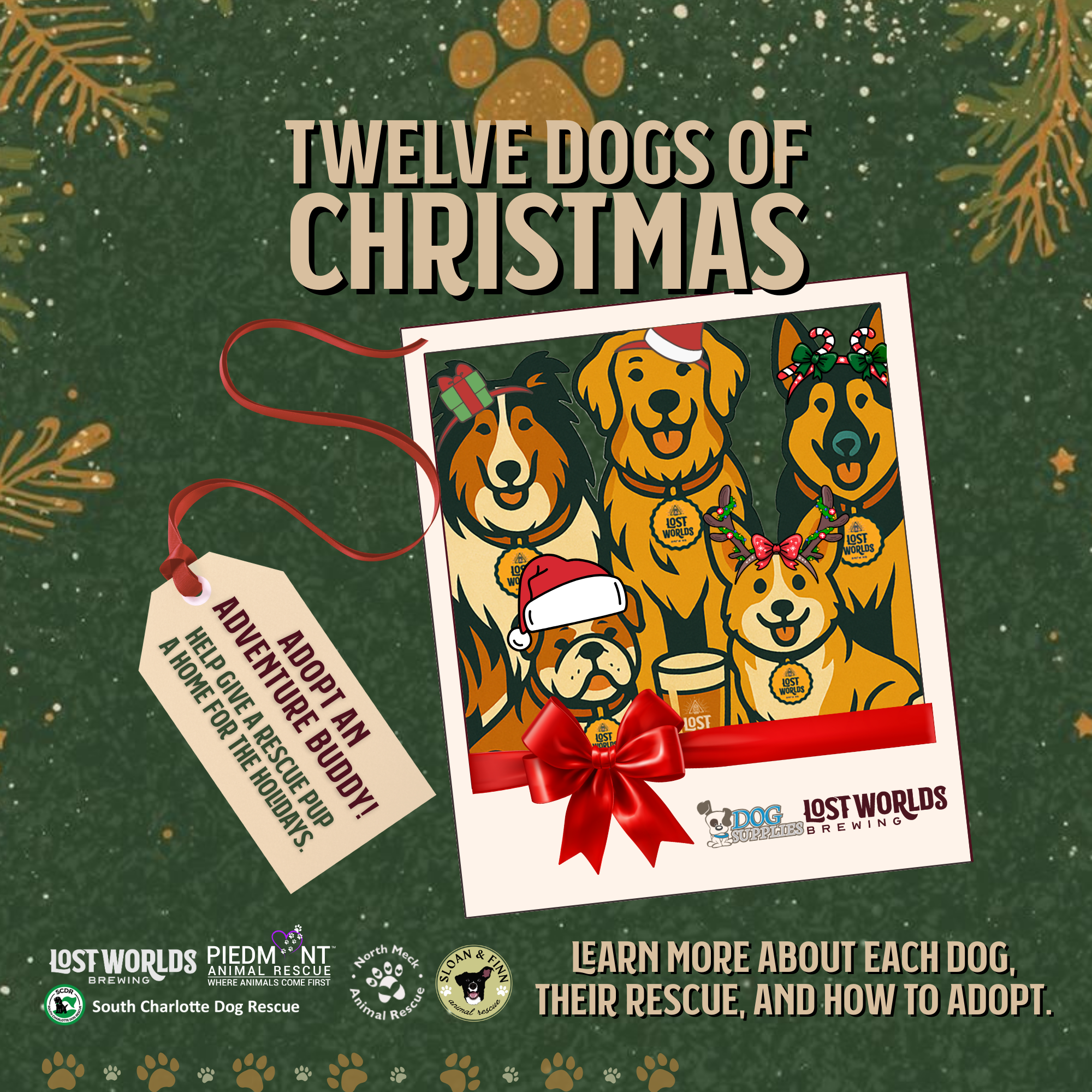 The 12 Dogs of Christmas: Find Your Adventure Buddy This Holiday Season