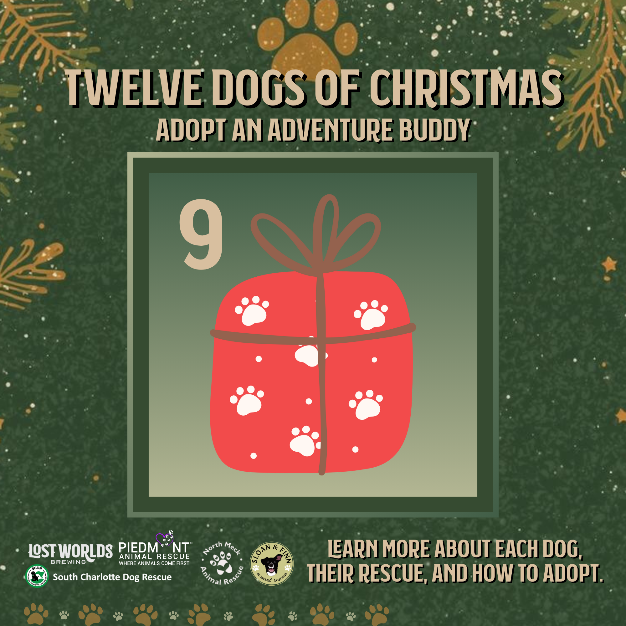 Meet George: All Access Pass to Love &amp; Snuggles