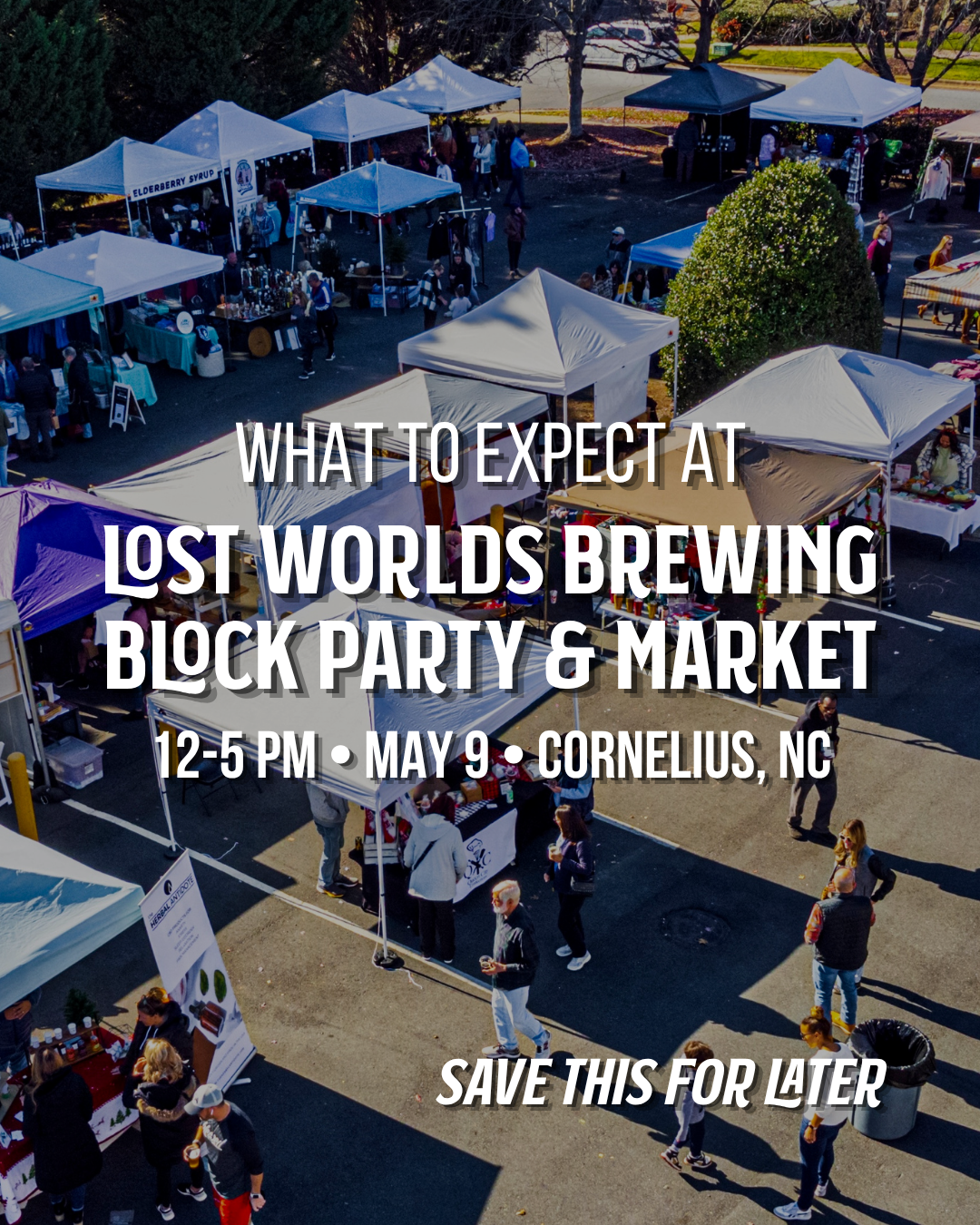 The Ultimate Guide to the Lost Worlds Block Party &amp; Market