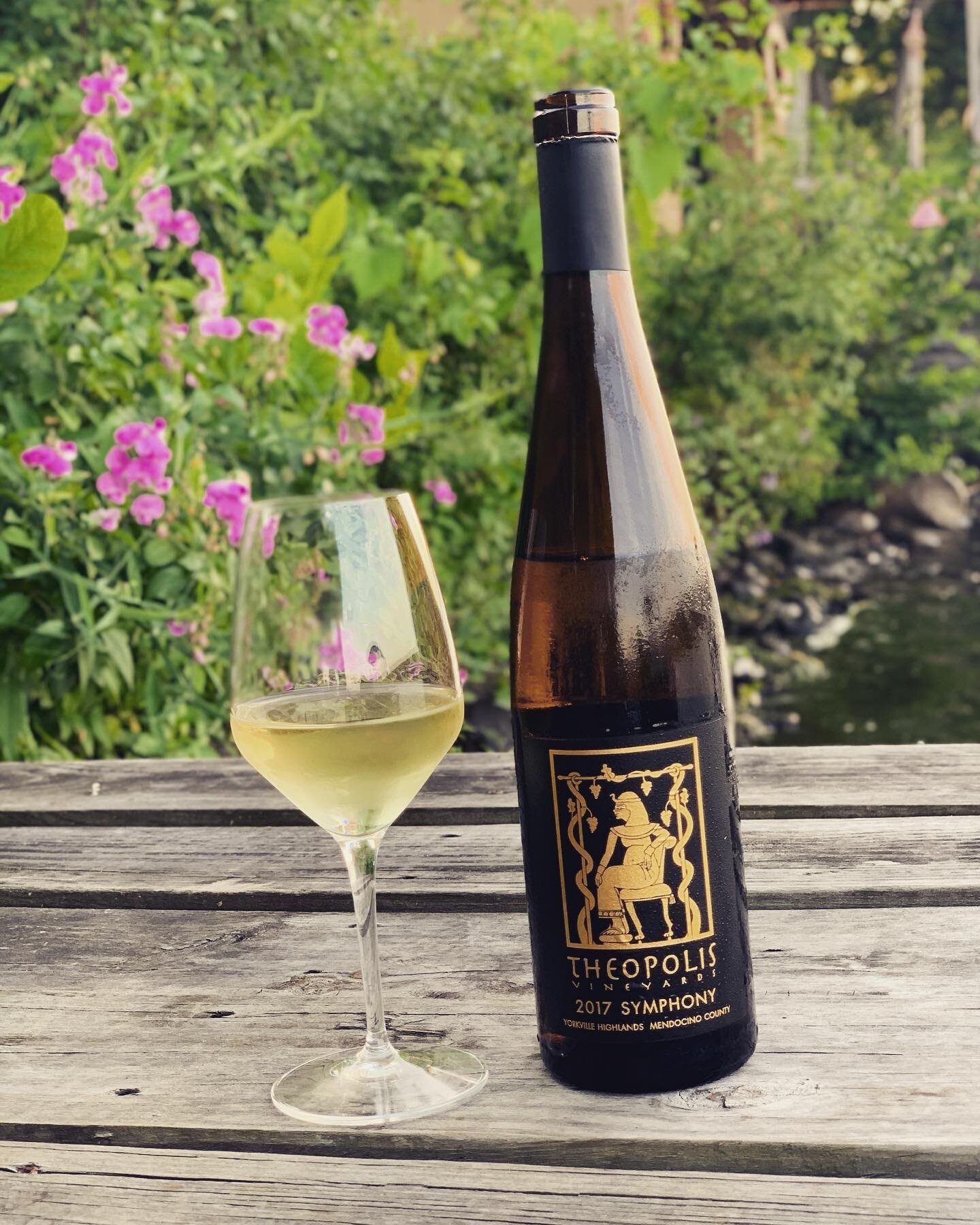 Summer throwback ☀️🌸☀️🌸 Can&rsquo;t wait to be dock-sitting and Symphony-sipping again. ⁣⁣
⁣⁣
This @theopolisvineyards Symphony is all lemon, lime, mangos and flowers... a California crossing of Muscat of Alexandria and Grenache Gris. I dropped thi