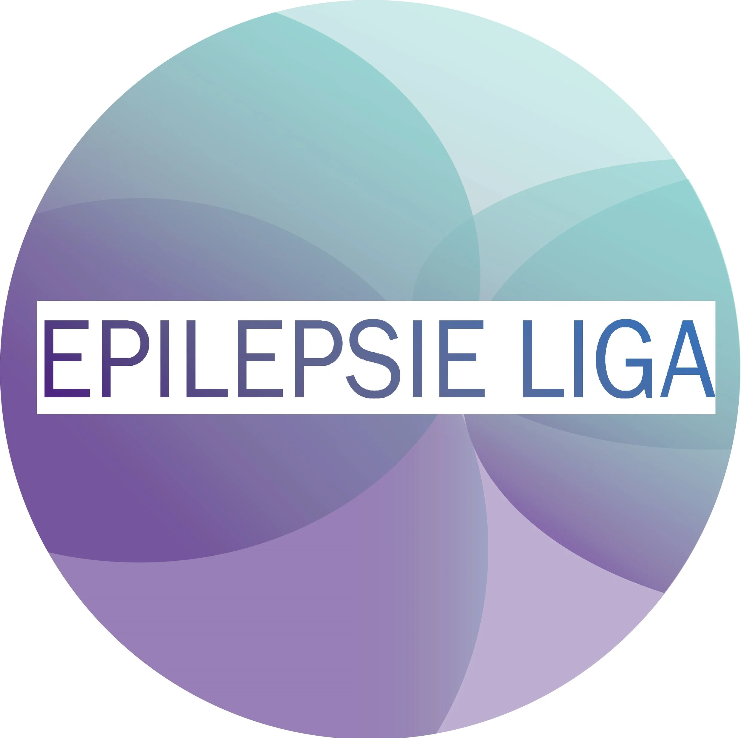 PROJECTMEDEWERKER – BRUGFUNCTIE TUSSEN (JONG)VOLWASSENEN MET EPILEPSIE &amp; SCHOOL/WERK
