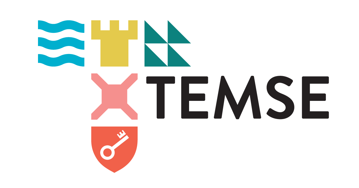 CONSULENT DIVERSITEIT