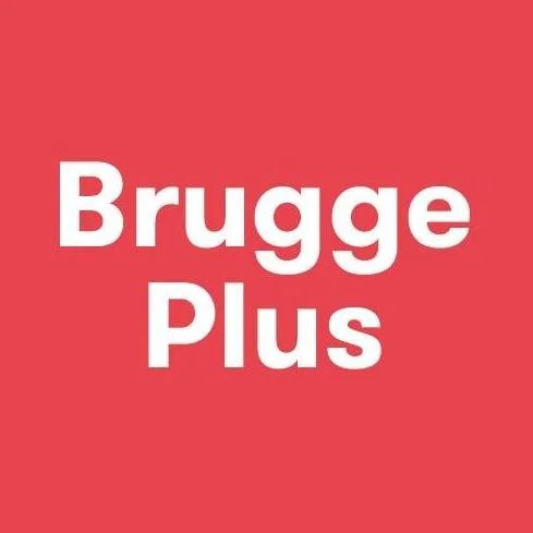 PROJECTVERANTWOORDELIJKE WEST-VLAAMSE KUNSTTRIËNNALES 2027