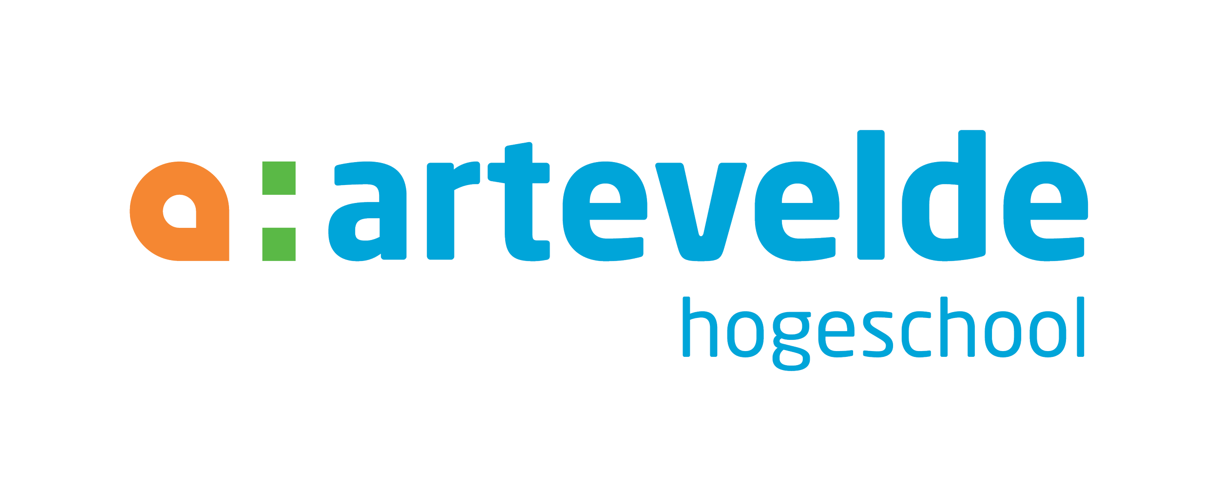 (PRAKTIJK)LECTOR DIGITAL MARKETING