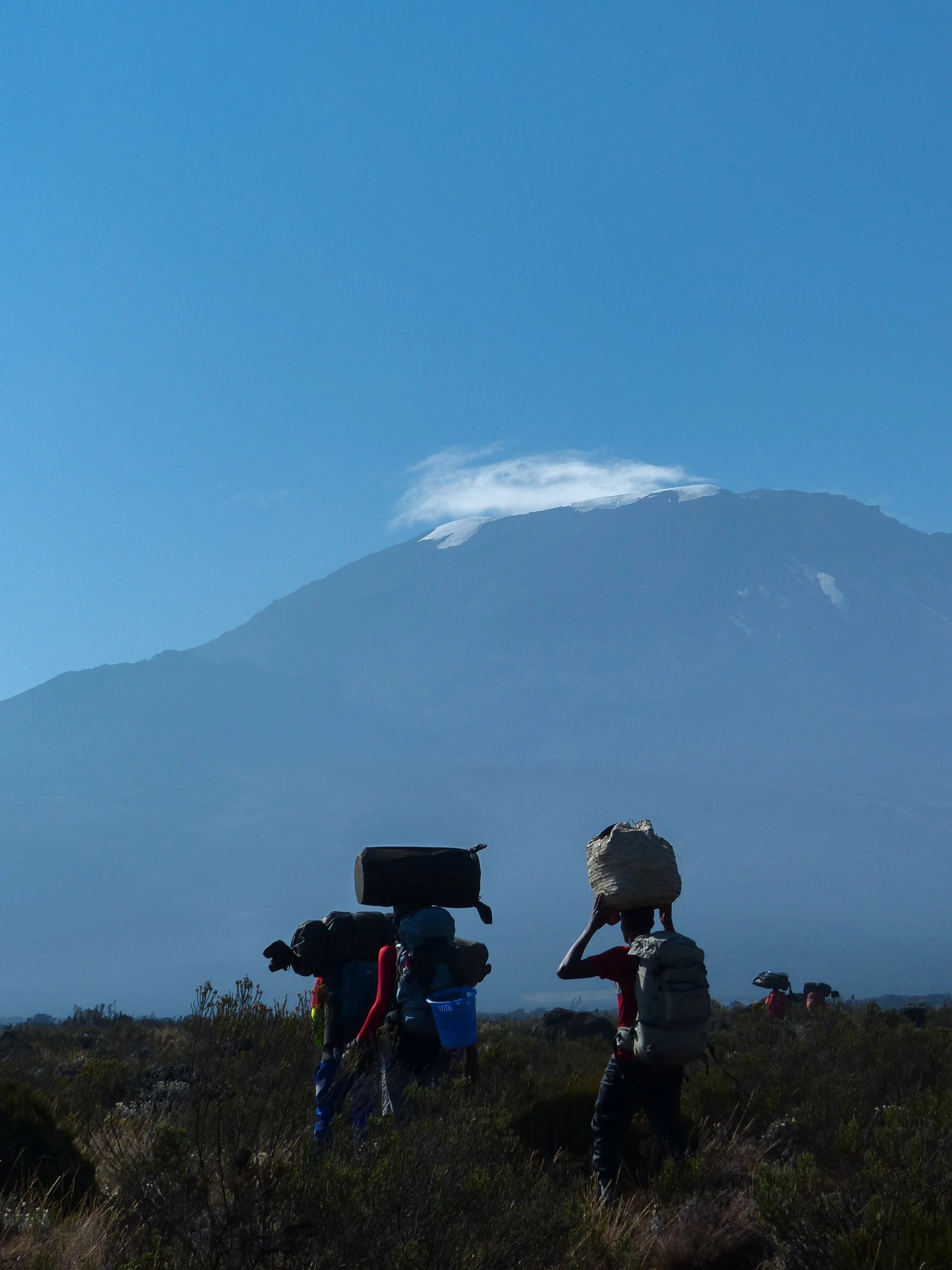 Kilimanjaro