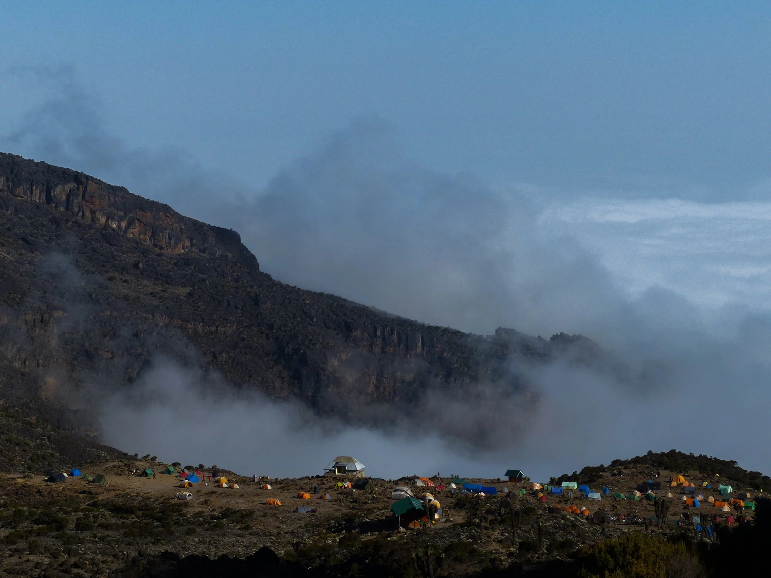 Kilimanjaro