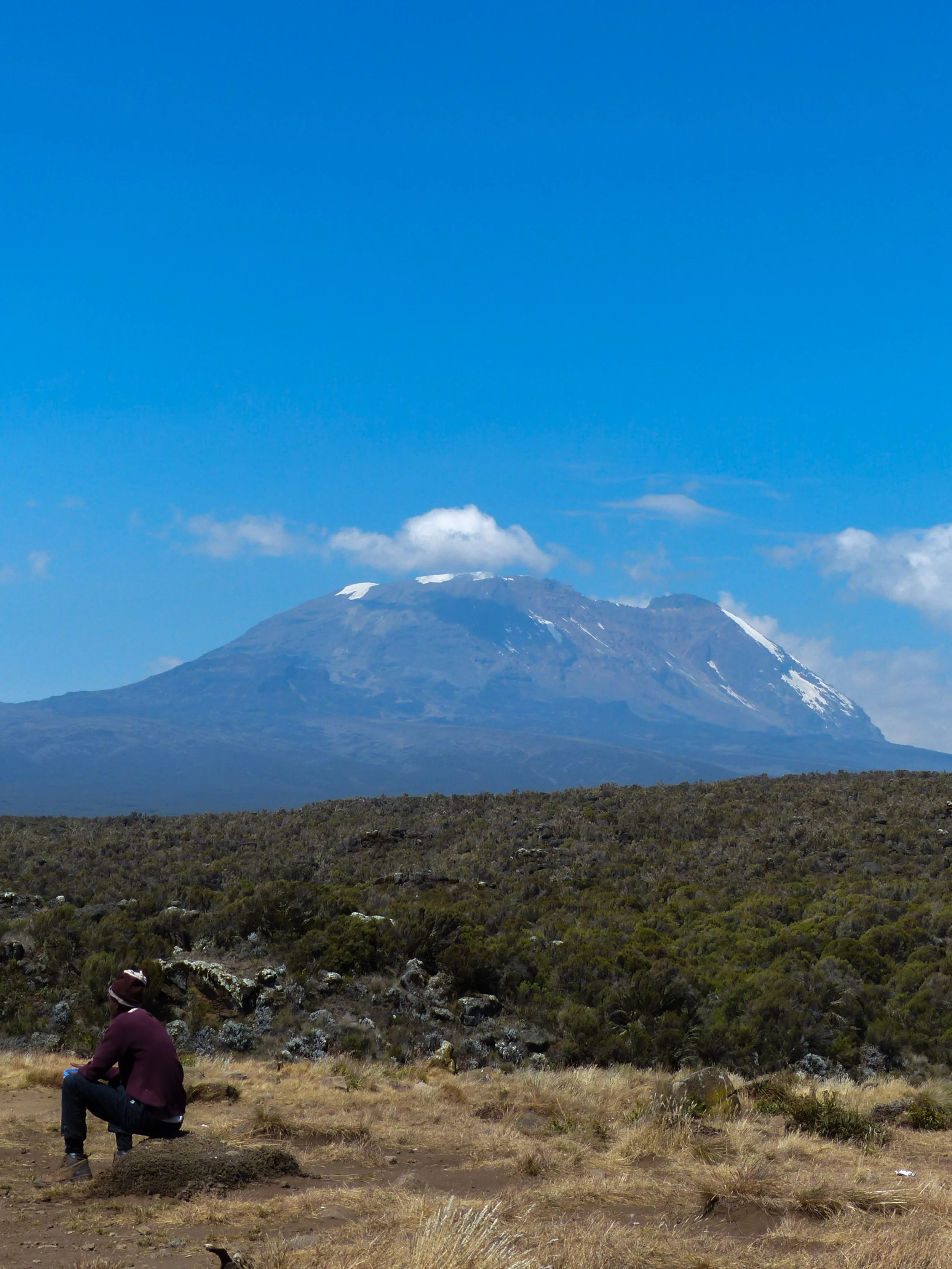Kilimanjaro