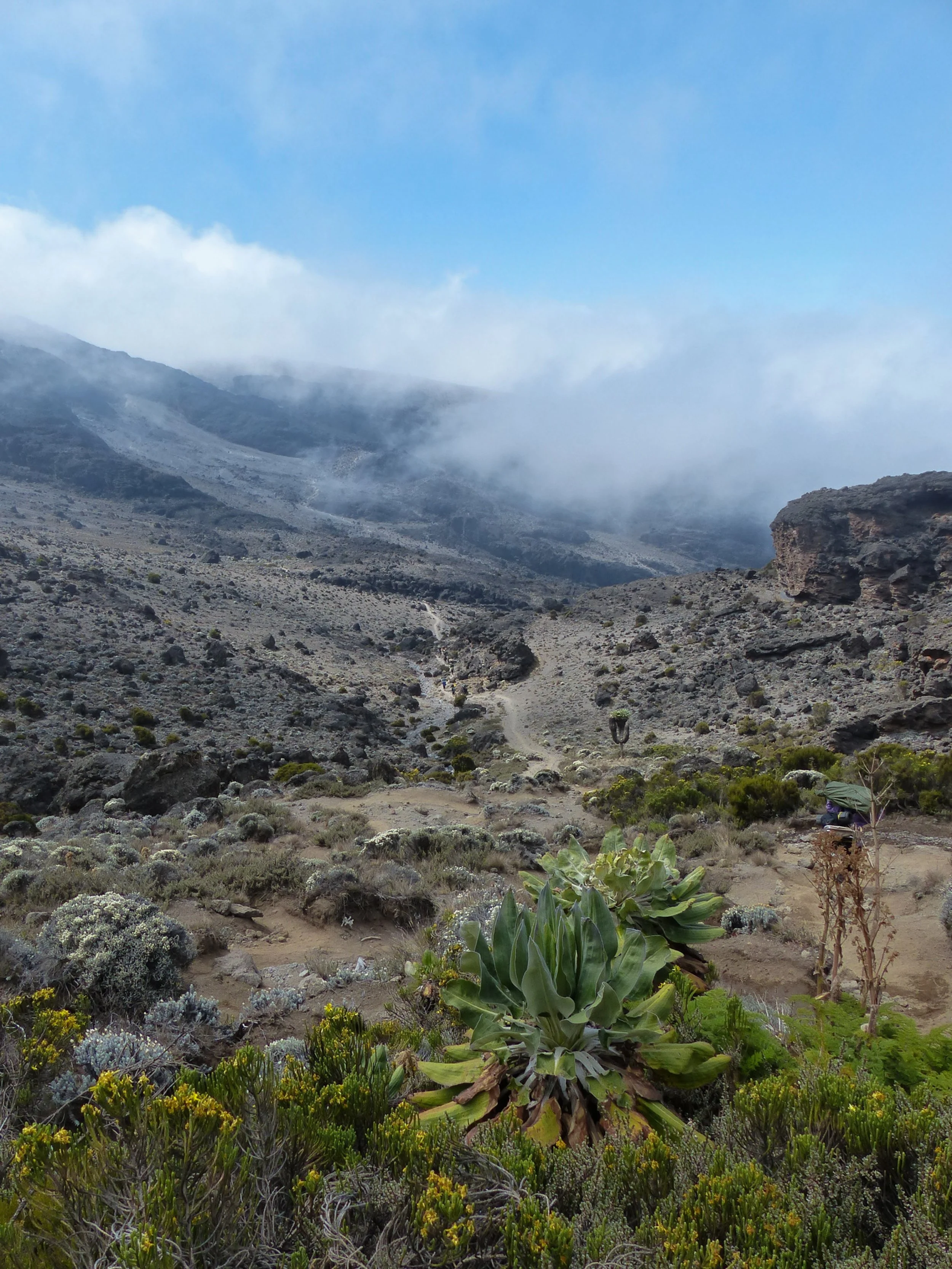 Kilimanjaro-40.jpg