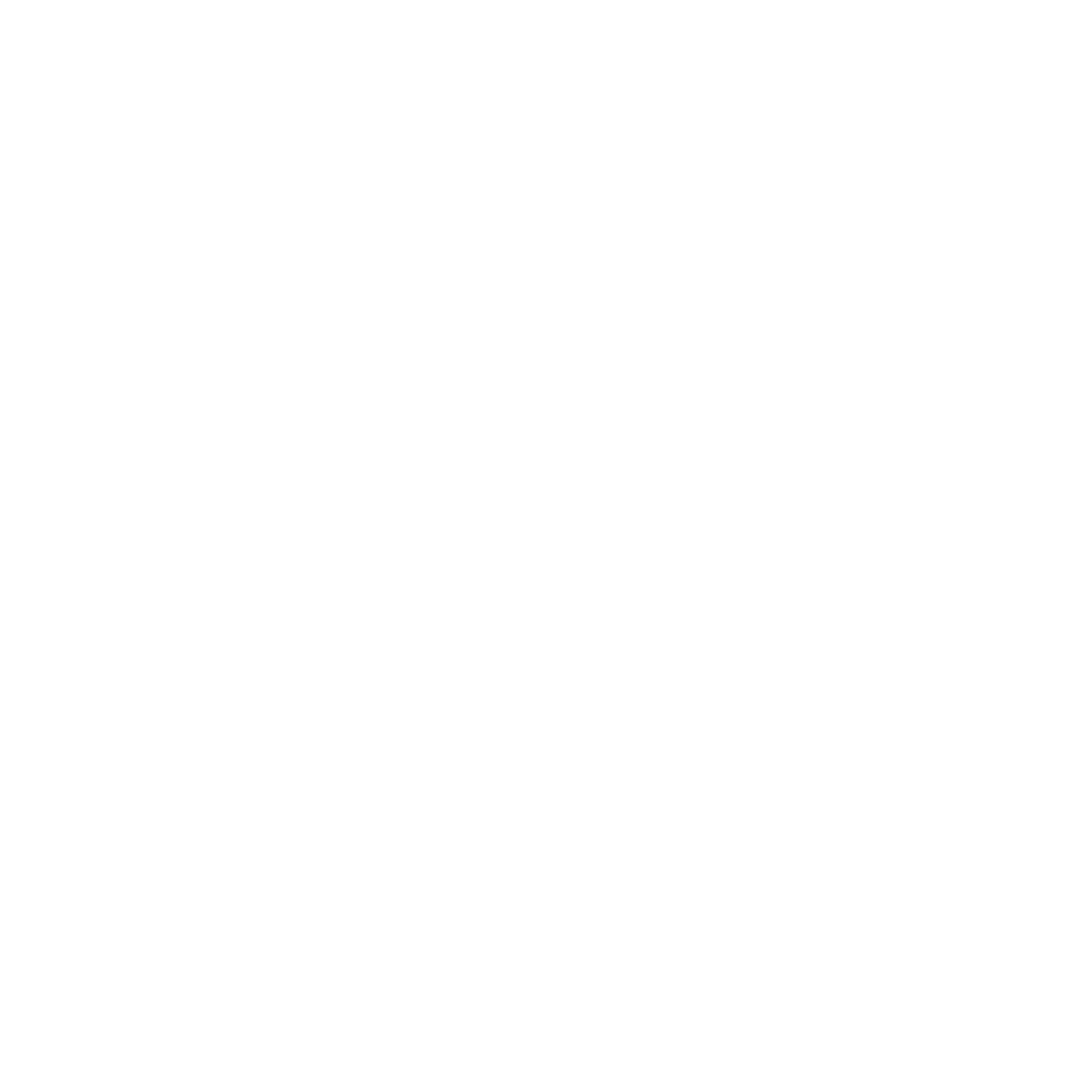 REV FIT BY AK