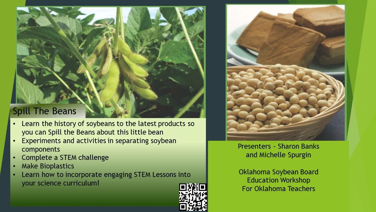 Spill The Beans Workshop