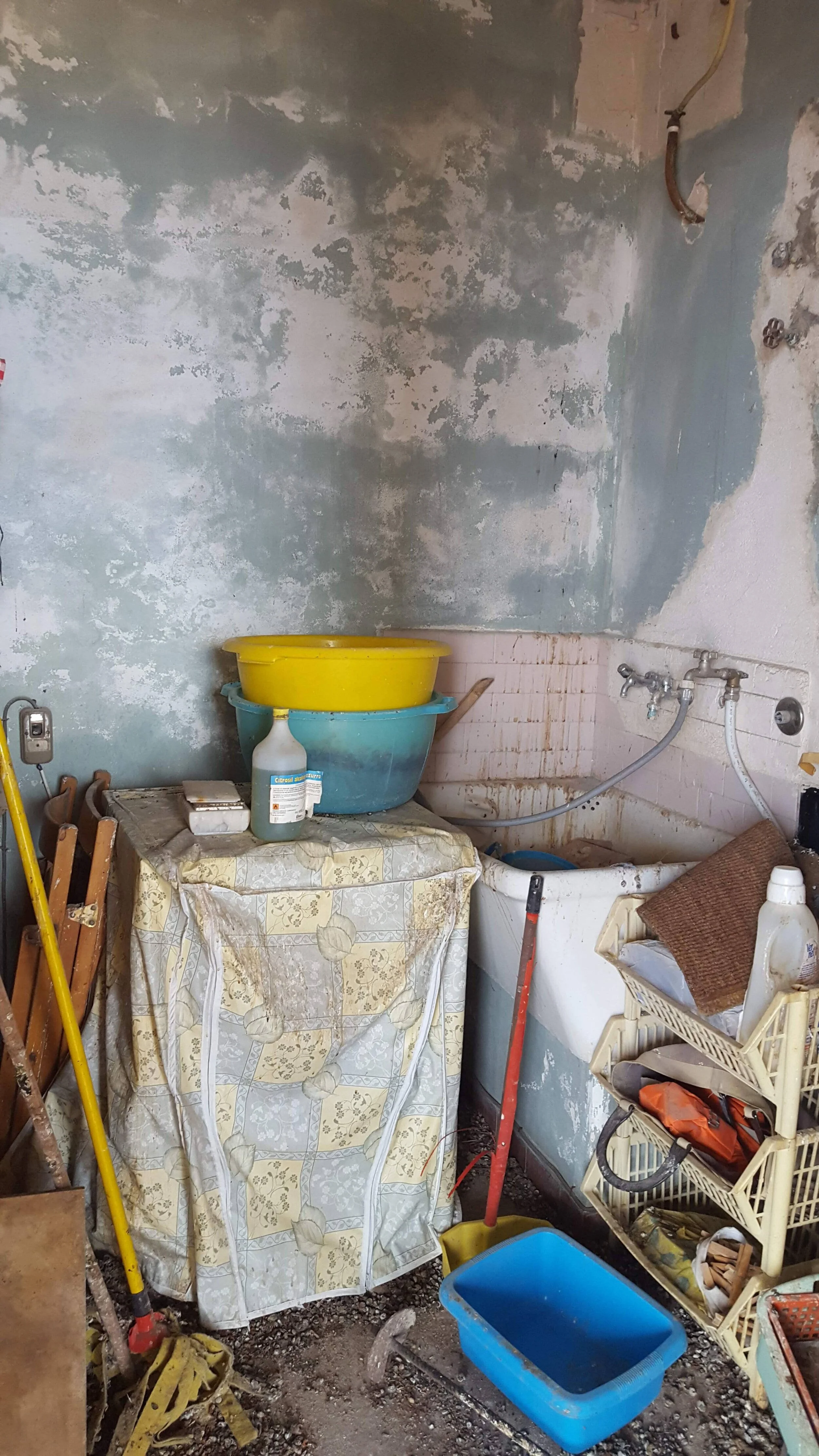 20180608_115309.jpg