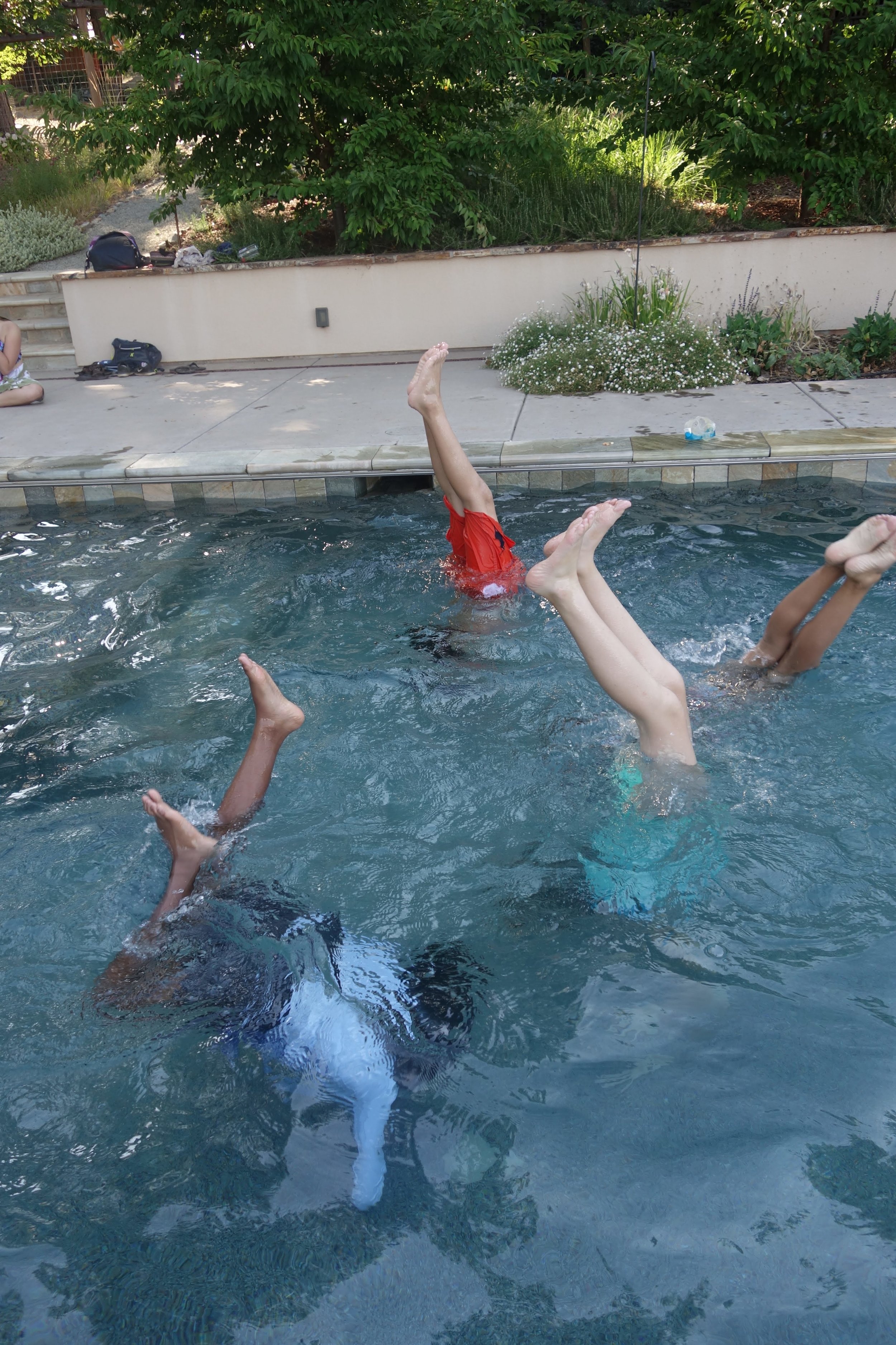 DSC06390 - Copy.jpg