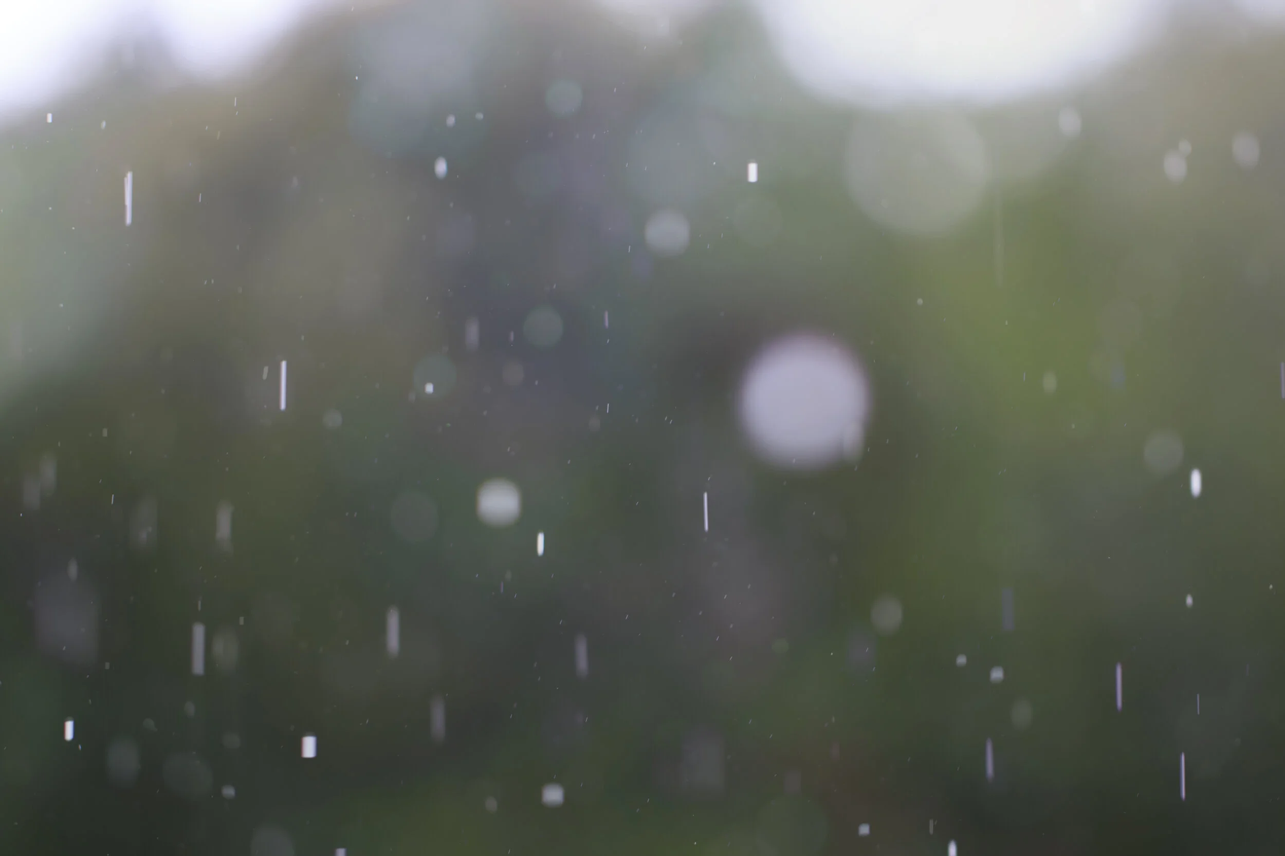 Rainfall - SR1A2346.jpg