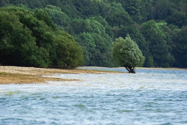 Noticing Nature Walk  - Llandegfedd Reservoir  - May 4th
