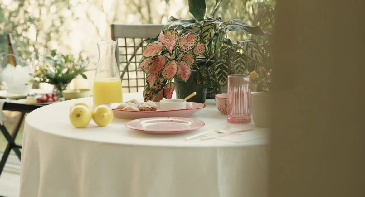 Clemente Home introduces: La Panameña Collection