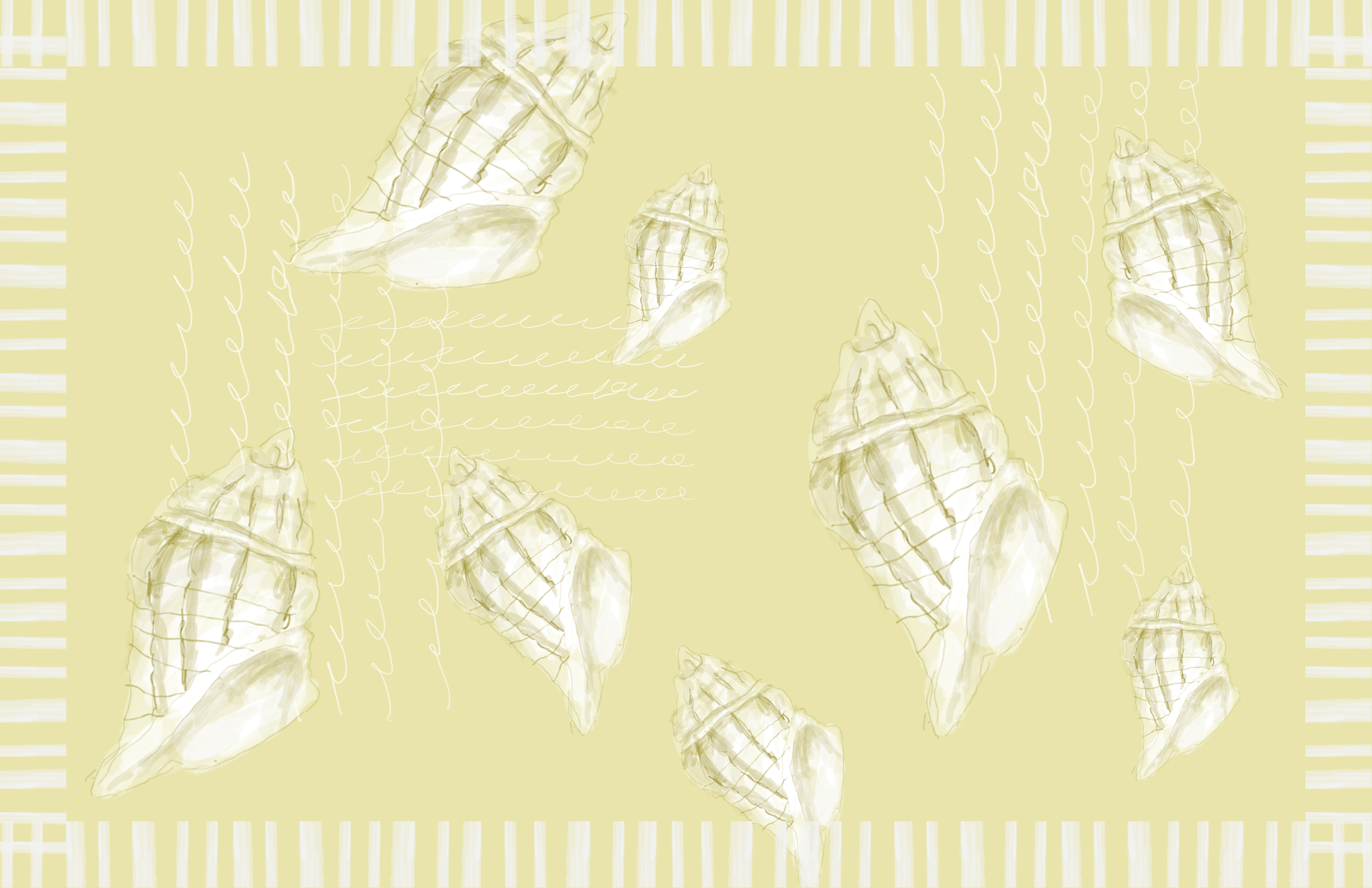 PAREO conchas (2).png