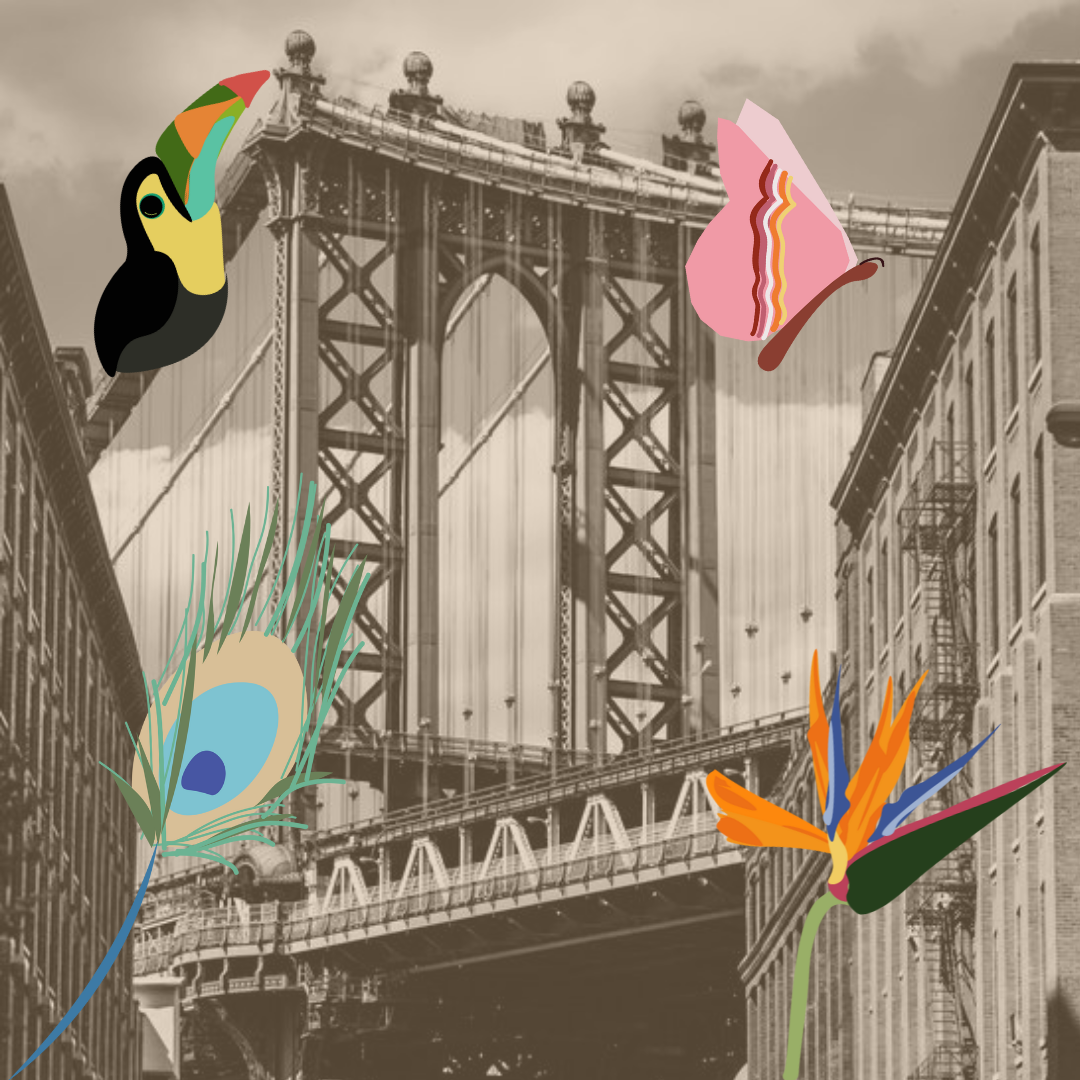 Hello, New York: