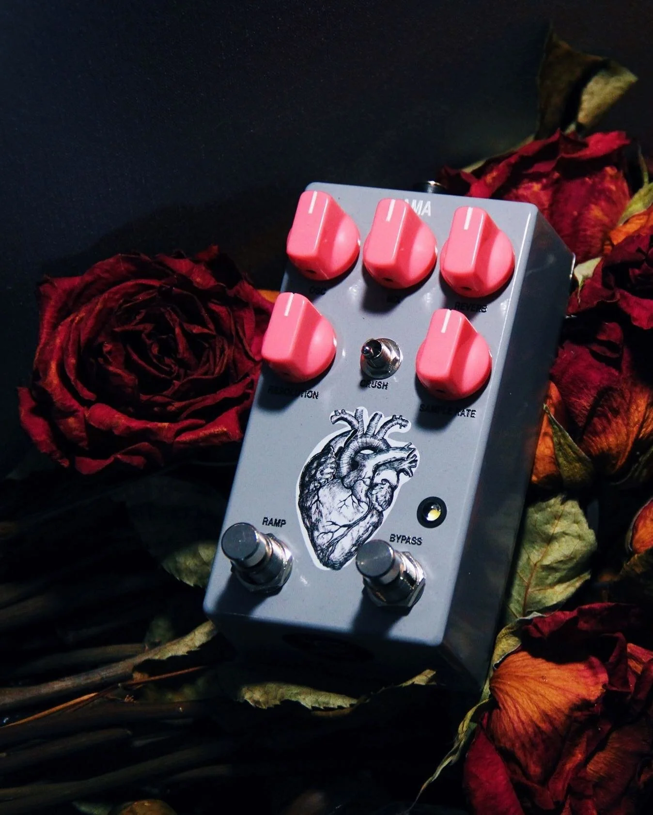 There is a unique beauty in decay and the voicing of the AMA V2 from @acnoises seems to encapsulate this truth perfectly.