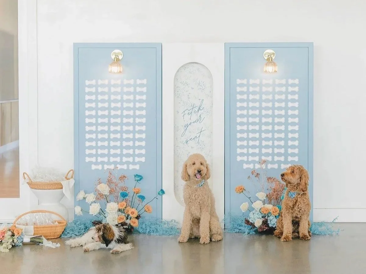 Lauren Baker Photography_Pantone and Poodles Editorial-47_websize.jpg