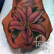 Stargazer Lily on the Back of a Hand
