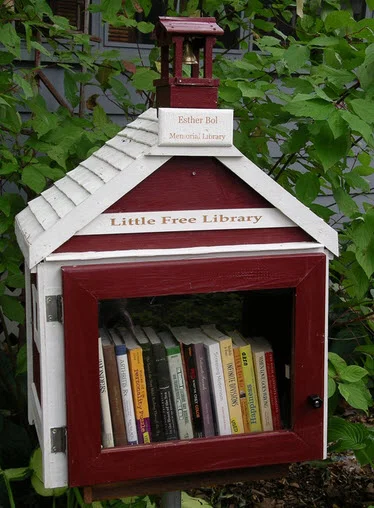 Do You Want A Little Free Library in Your Neighbourhood?