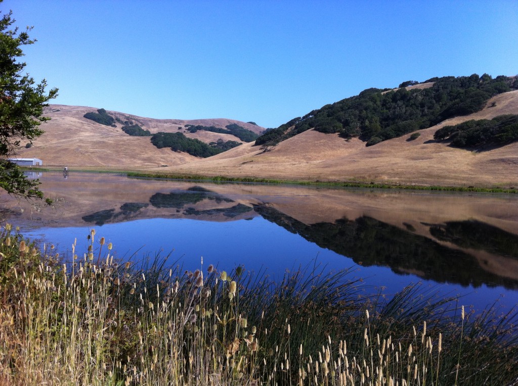 Kickstart Your #Flash Fiction With #PhotoFlash