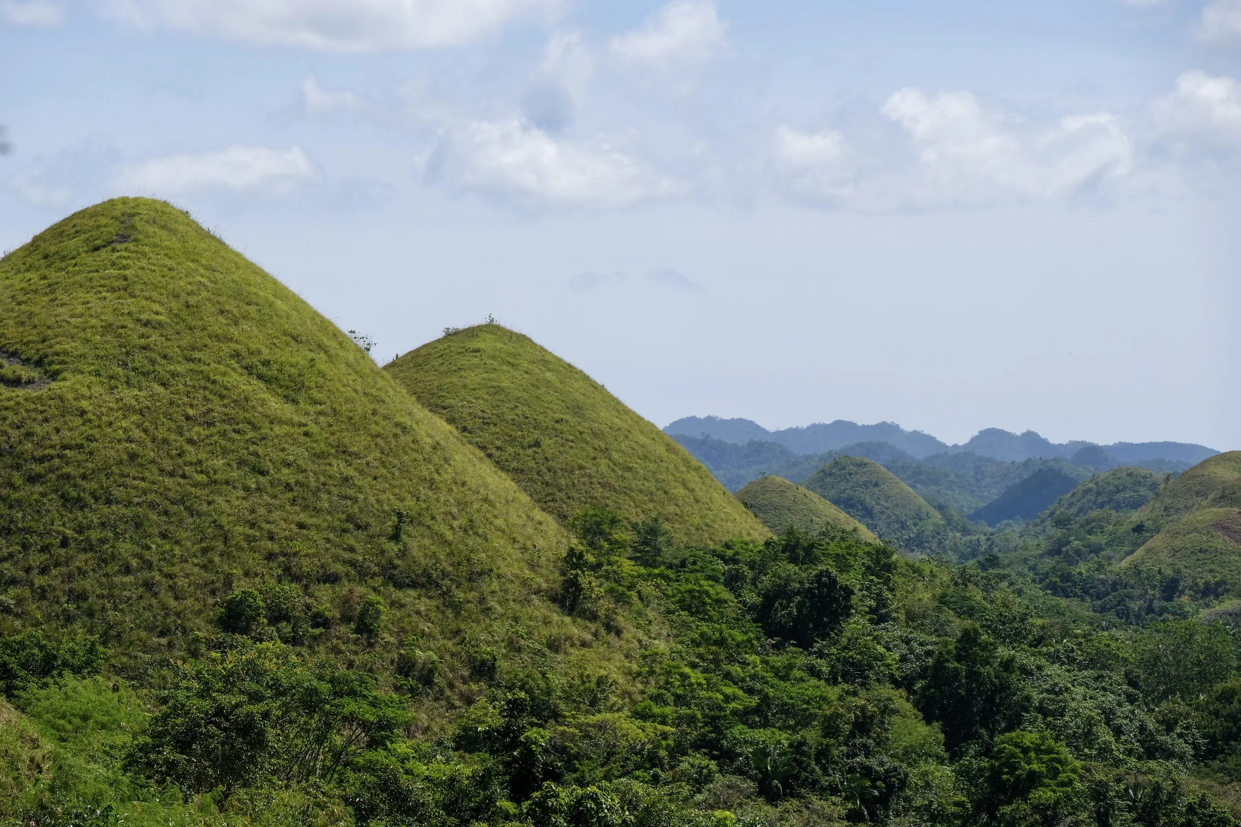 The Chocolate Hills