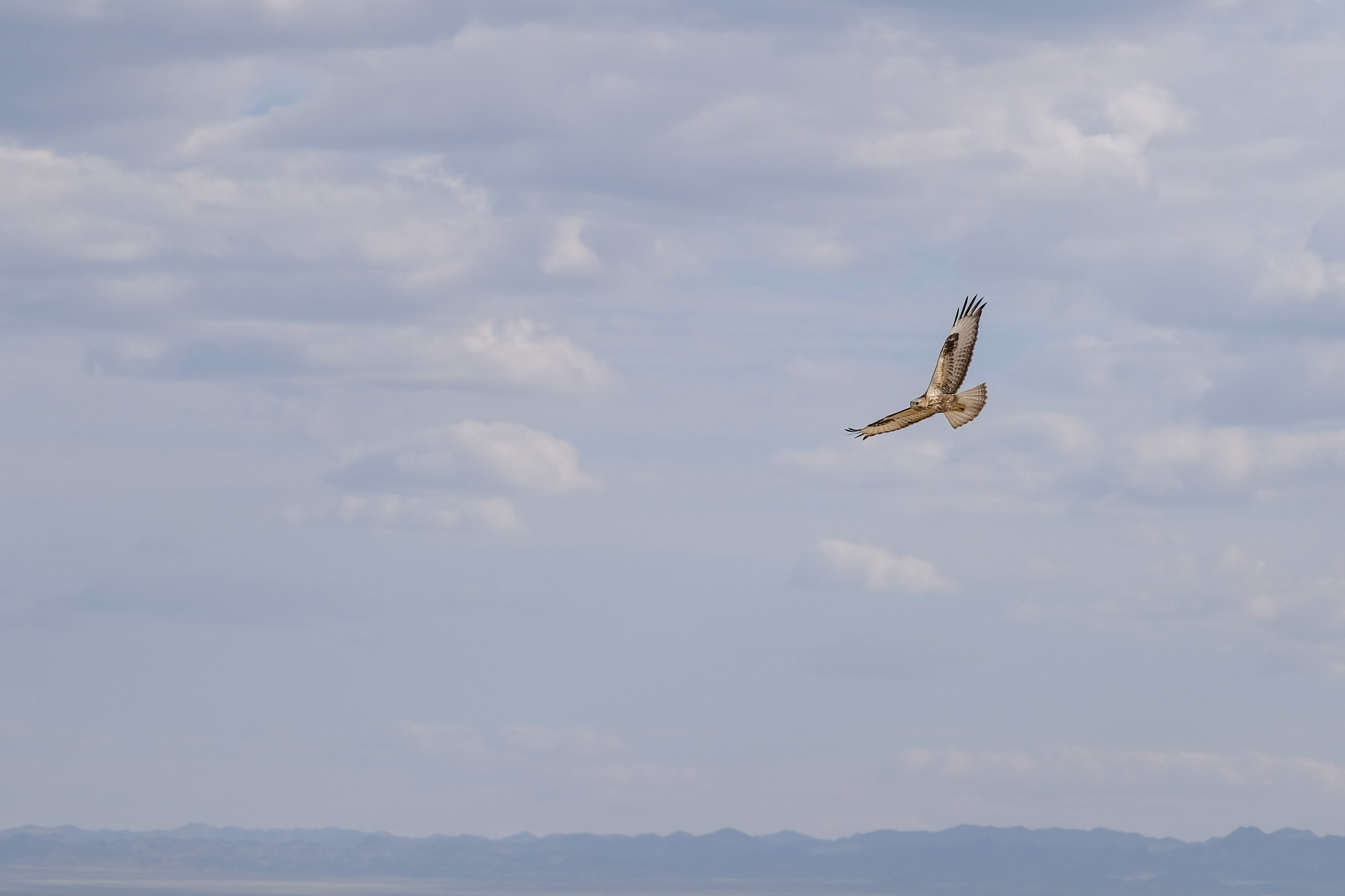 DSCF5930.jpg