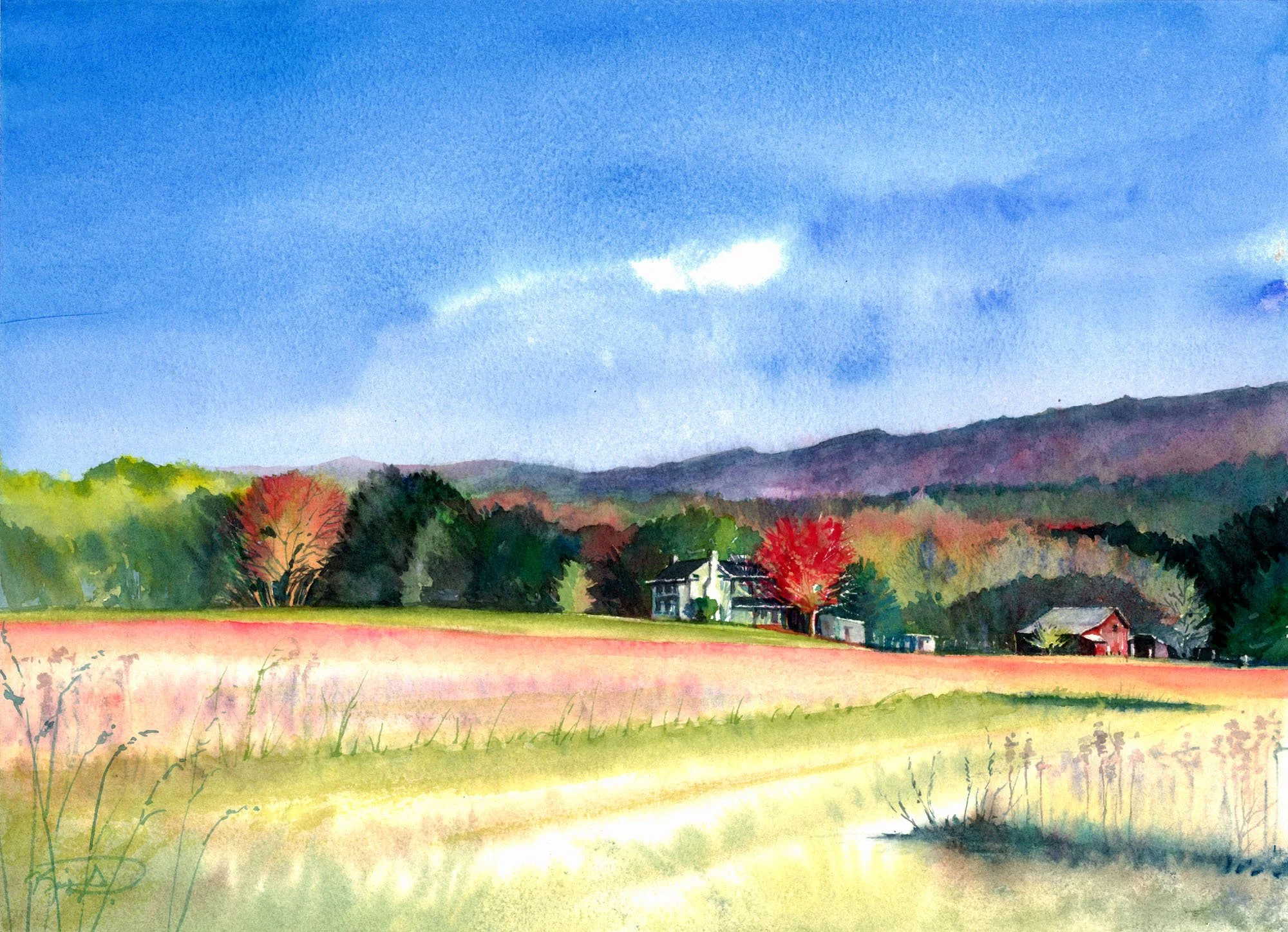 21054 L October Glory.jpg