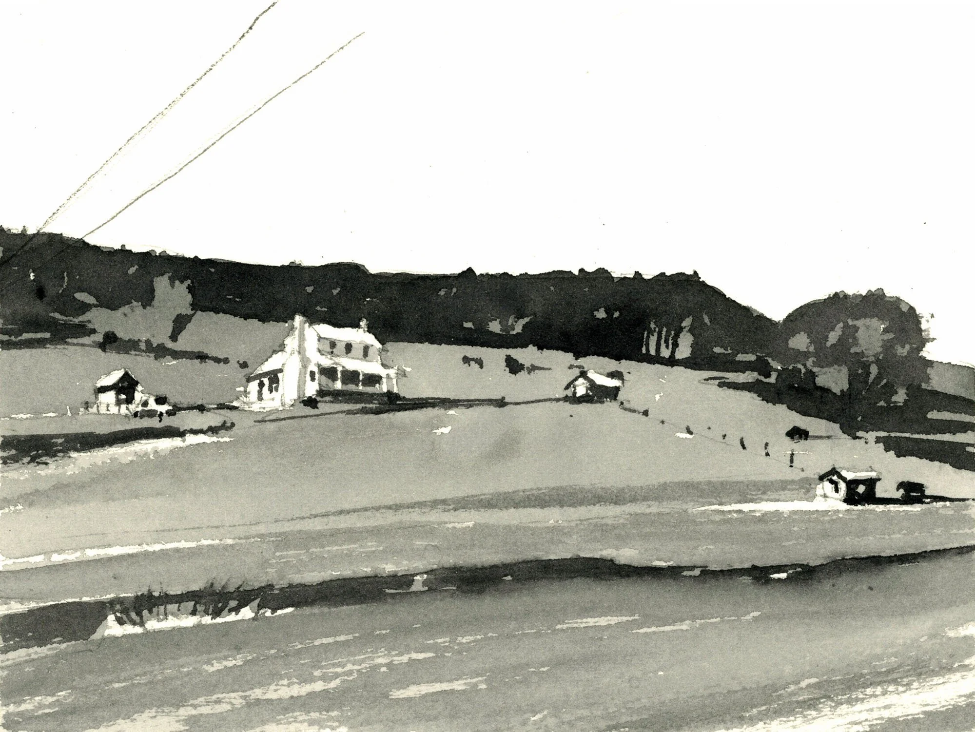 21024 L Value Study for Early Virginia Spring.jpg