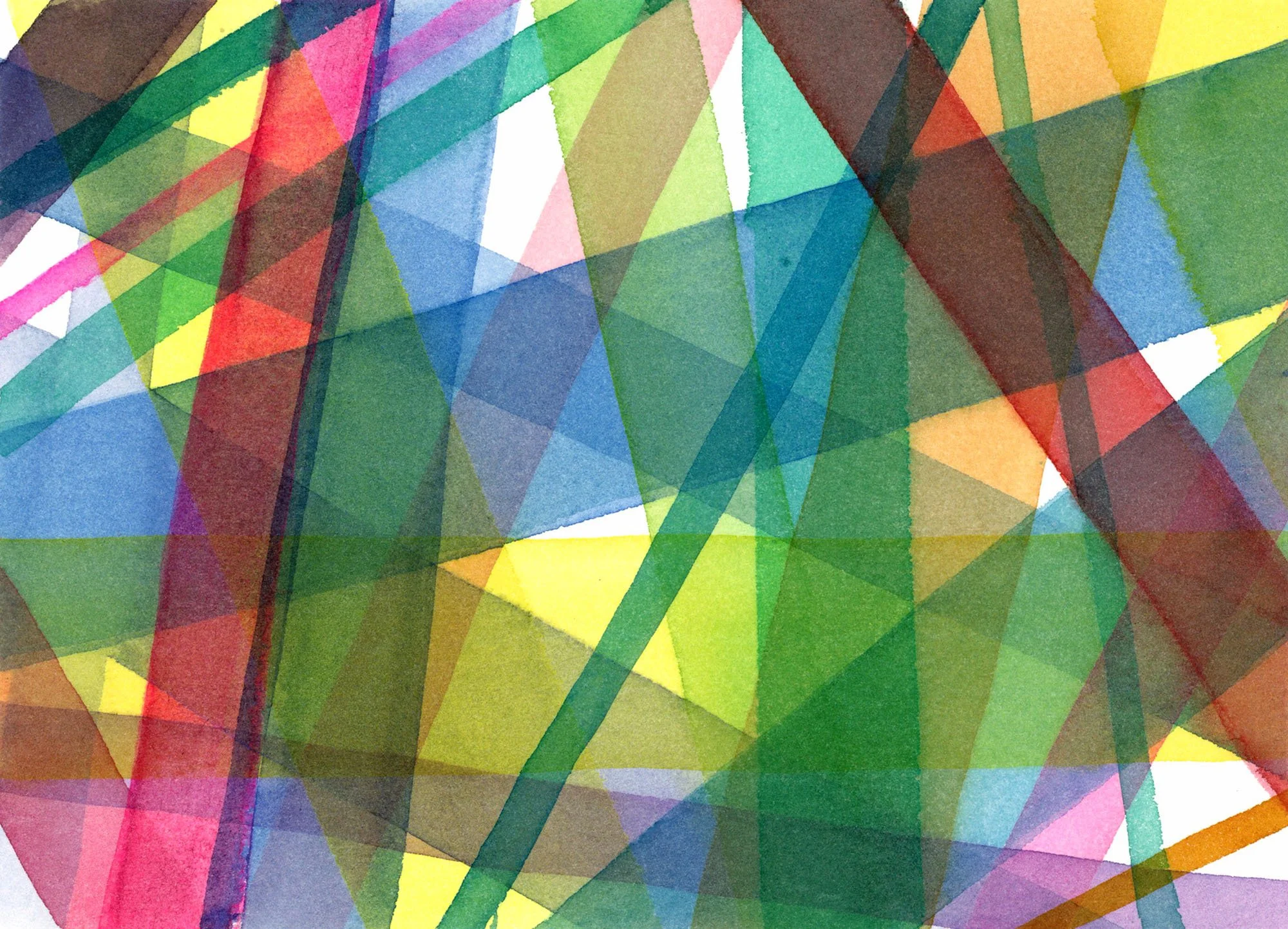 20055 A Sprectrum Jungle.jpg