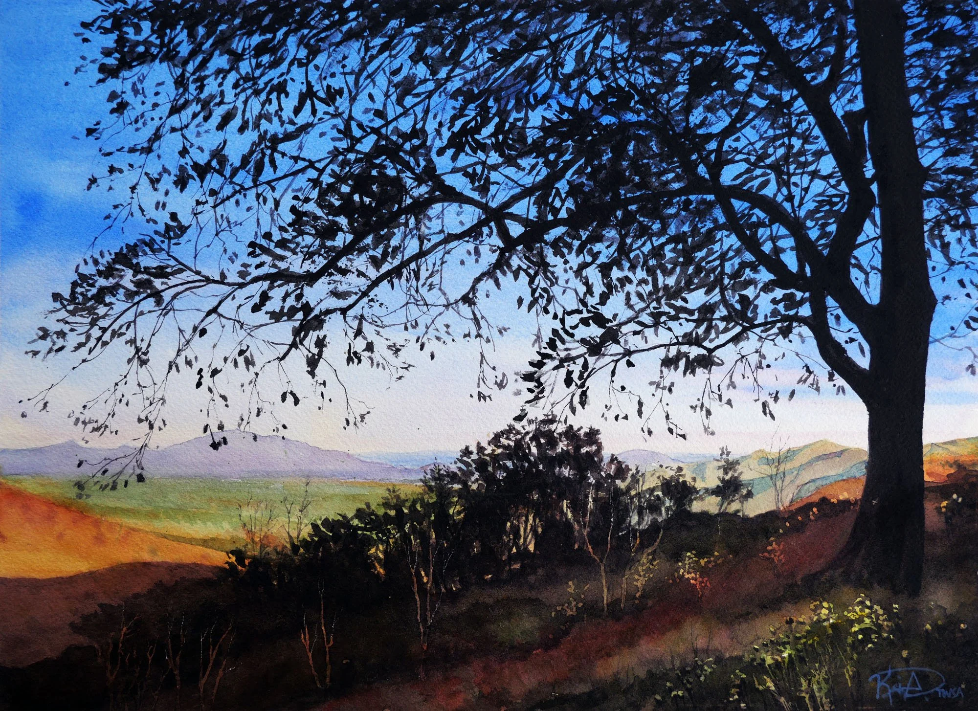 25015 L Tulip Poplar View.jpg