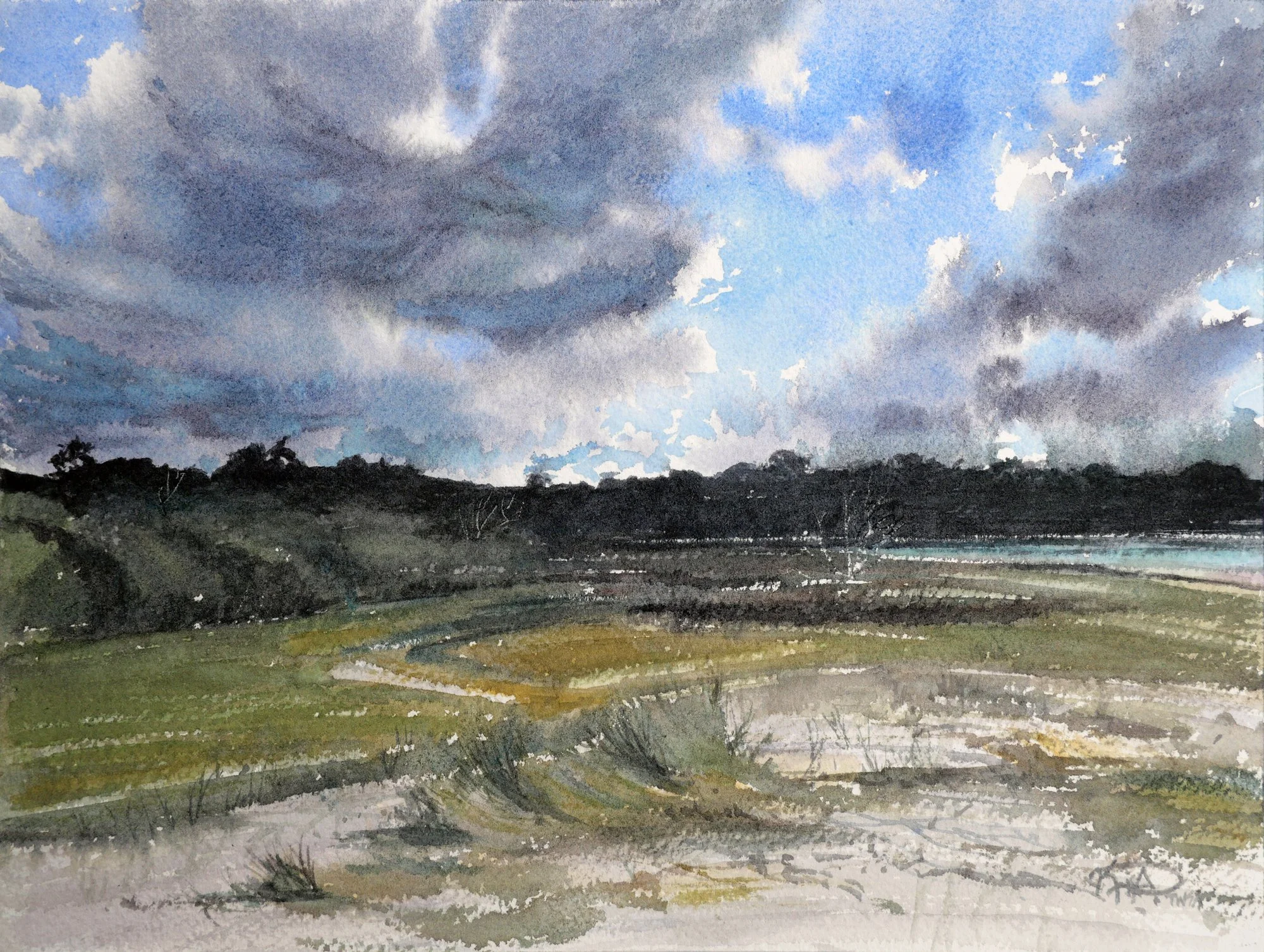 25043 L Stormy York.jpg