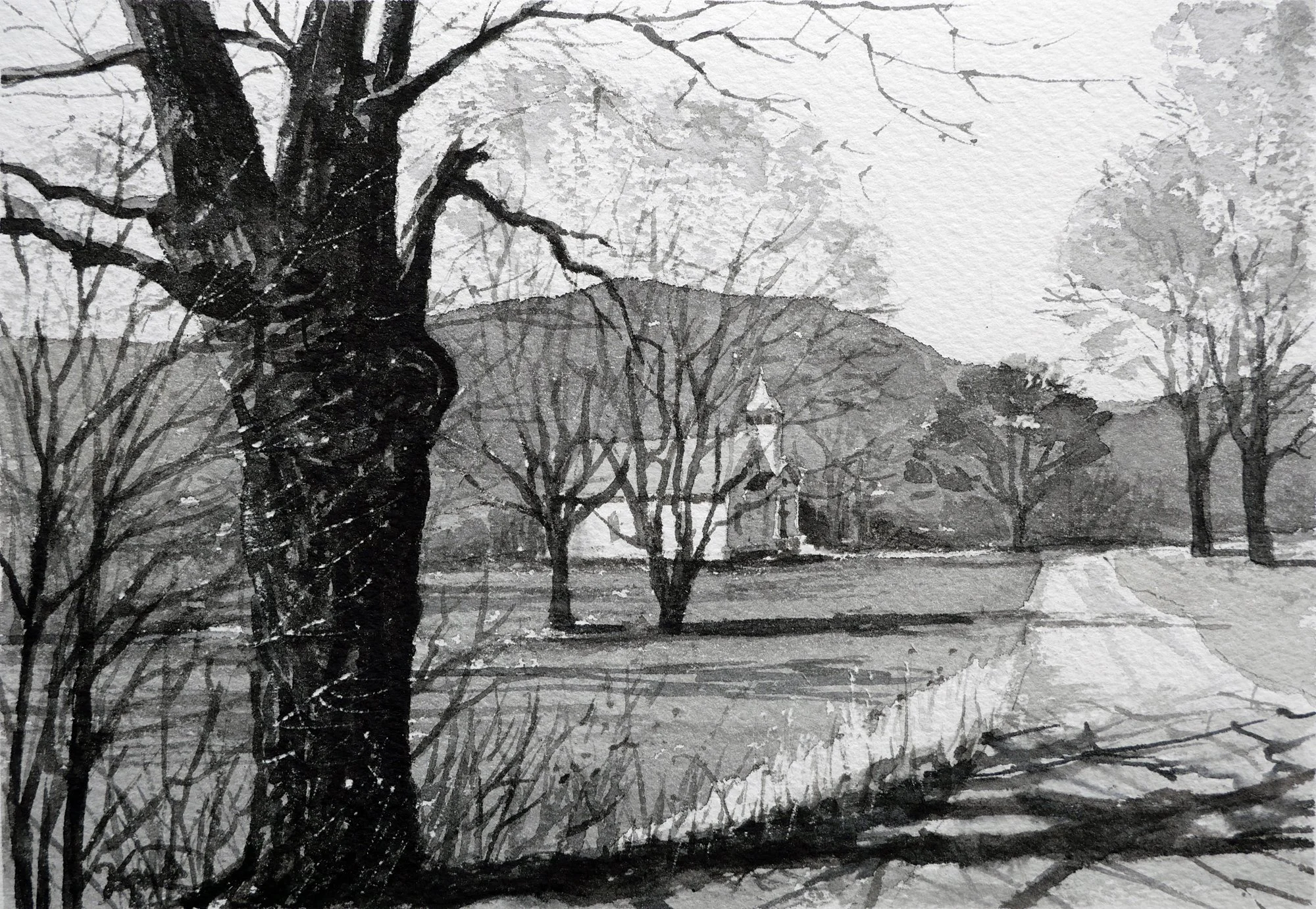 26014 L Maple Grove Morning - Study.jpg