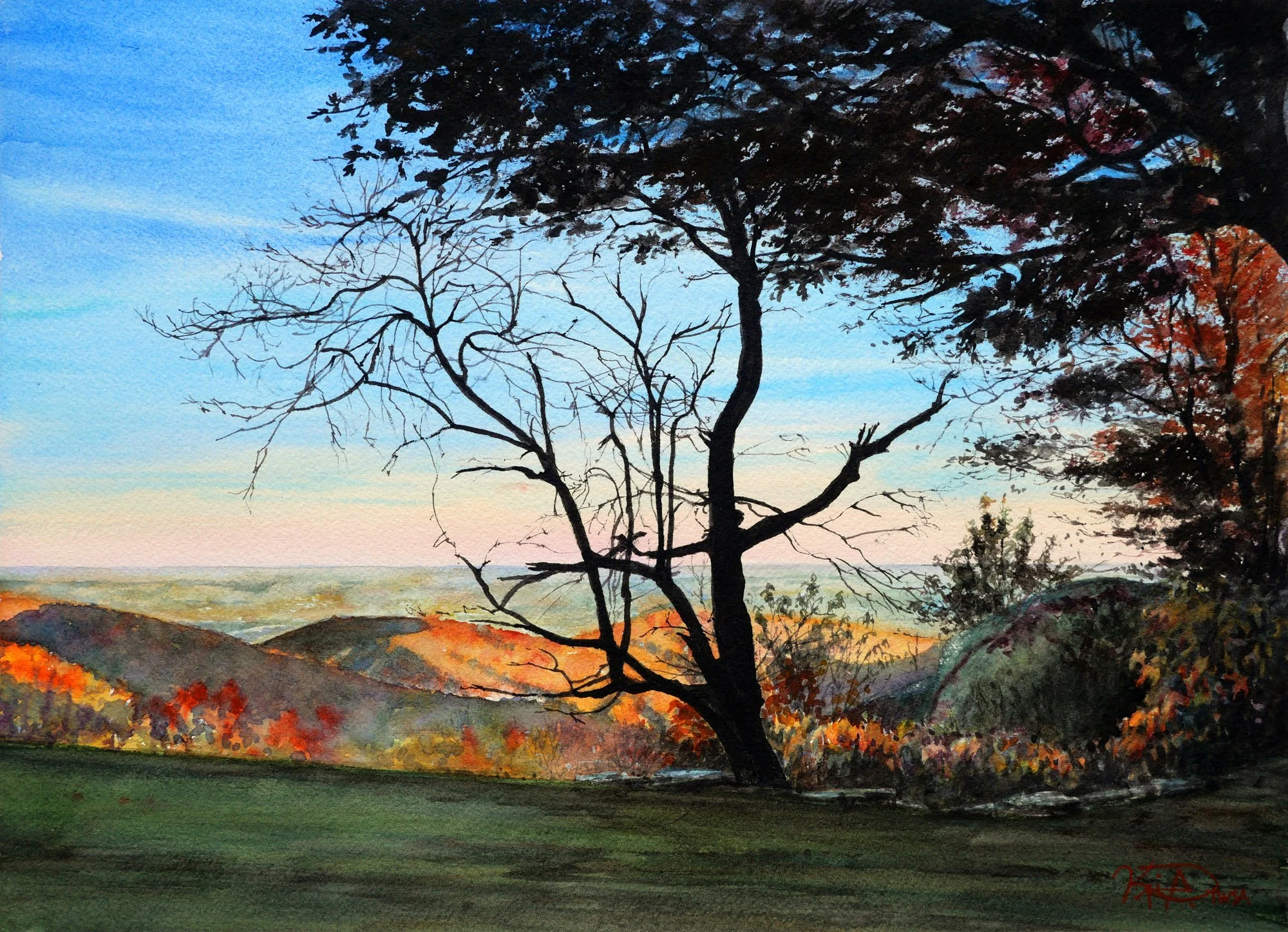 26002 L Onion Mountain Overlook.jpg