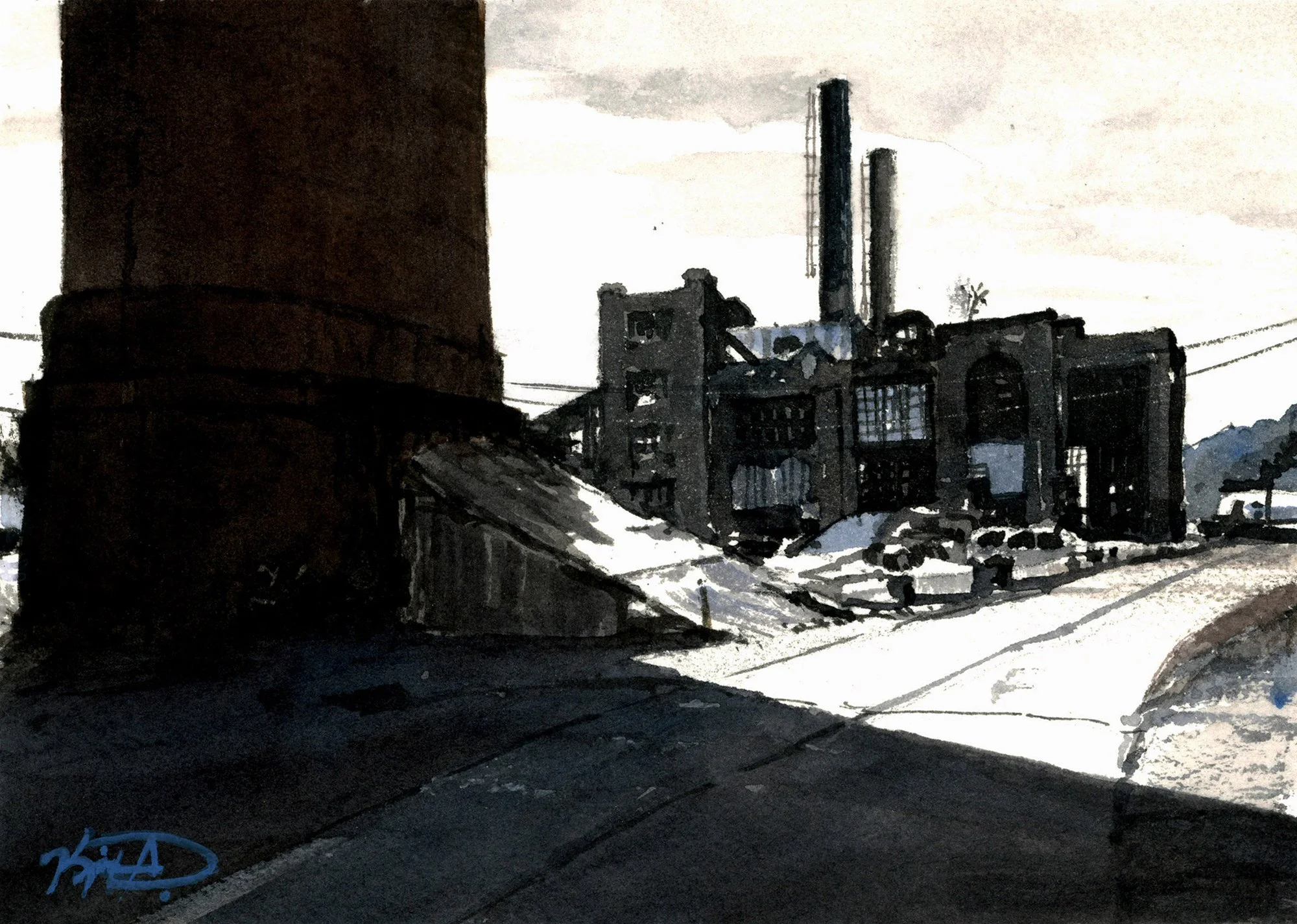 6-23055 R Broad Shadow.jpg