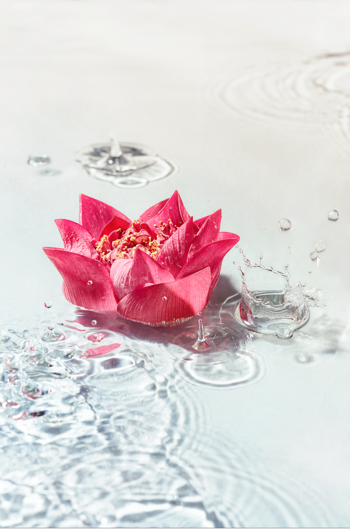 Screen Shot 2019-09-02 at 1.27.56 PM.png