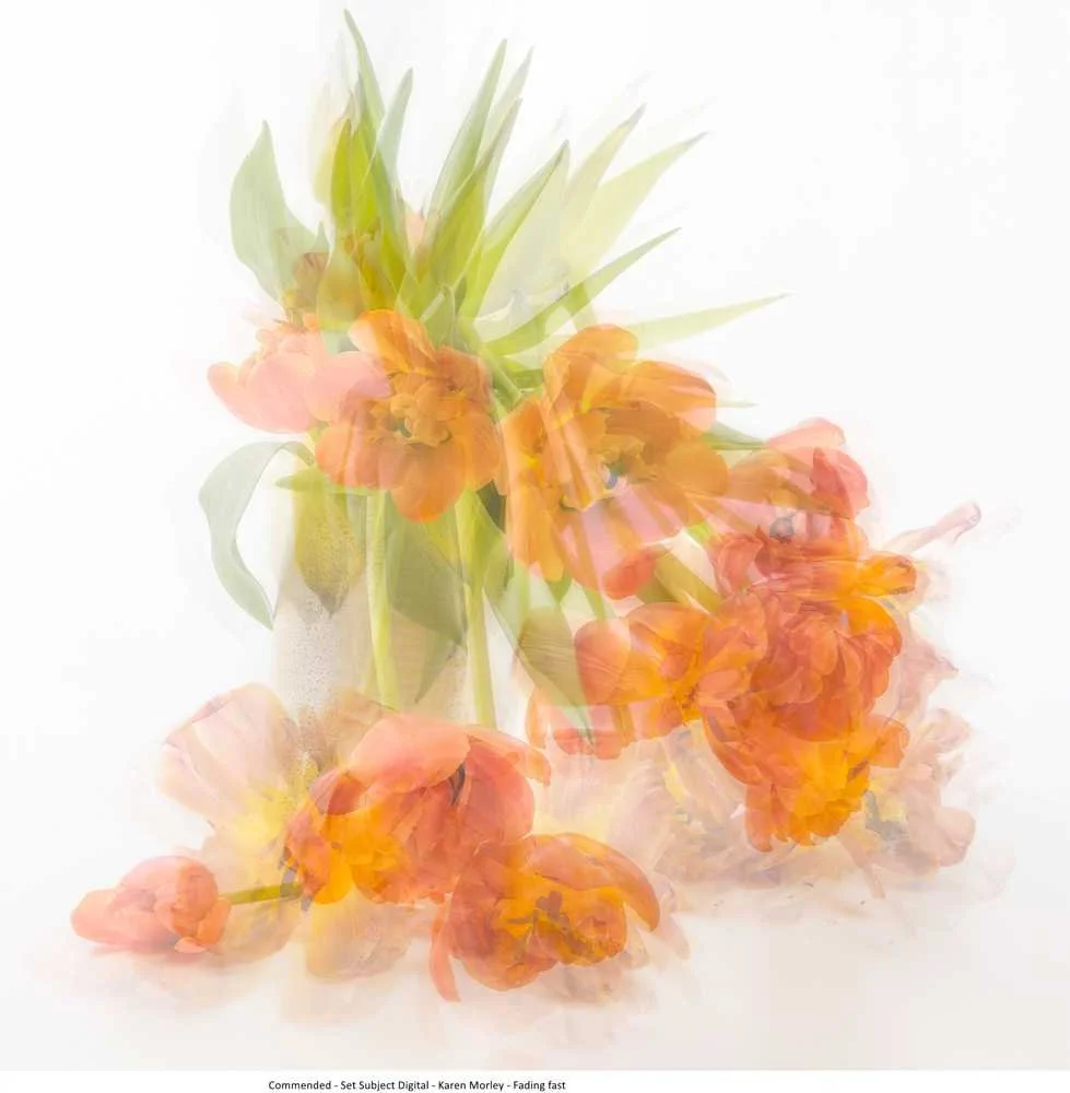 Commended - Set Subject Digital - Karen Morley - Fading fast.jpg