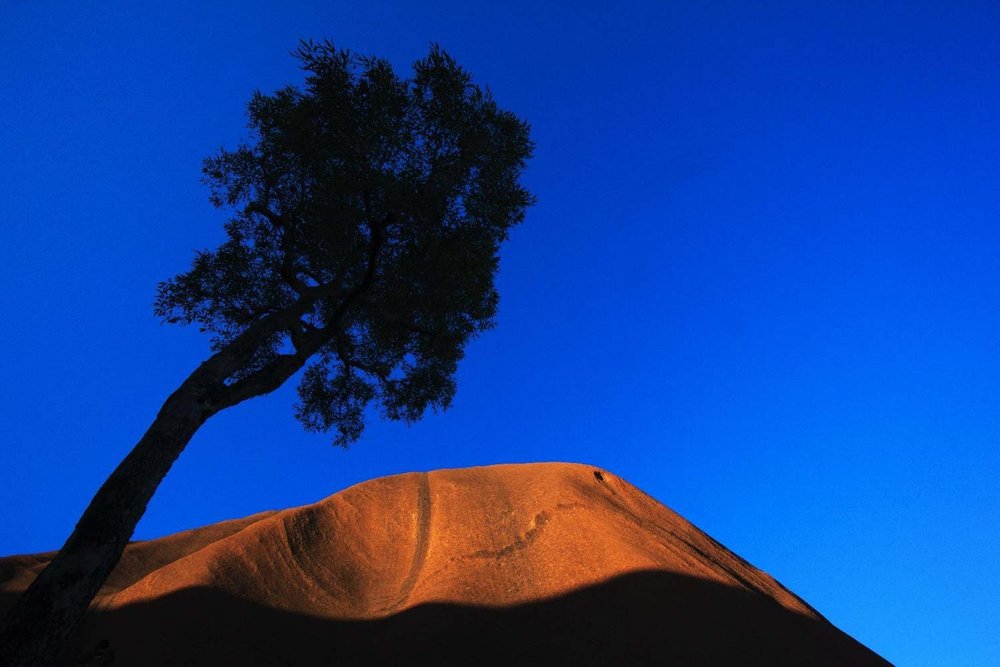 PROJECTED  -  Open: Commended  - Paul Robinson,  Uluru NT