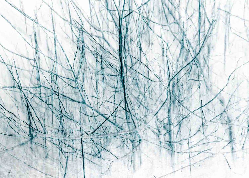 Print - Set Subject: Highly Commended - Andrea Maloney, Winter white out