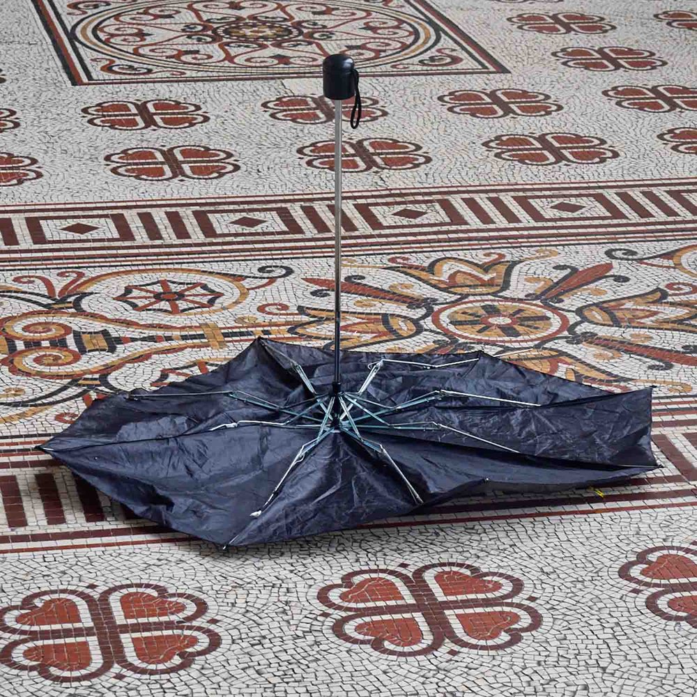 Projected - Set Subject: Highly Commended - Prue Bassett, Dead Brolly