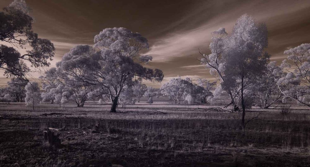 PROJECTED  -  Open: Commended  - Neil McKenzie,  At Arapiles Foot