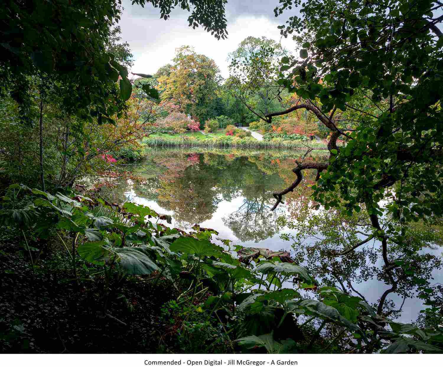 Commended - Open Digital - Jill McGregor - A Garden.jpg